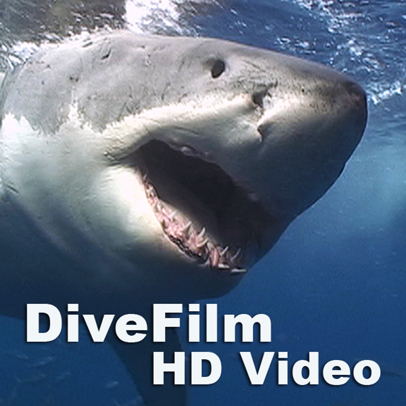 DiveFilm HD Video - Podcasts