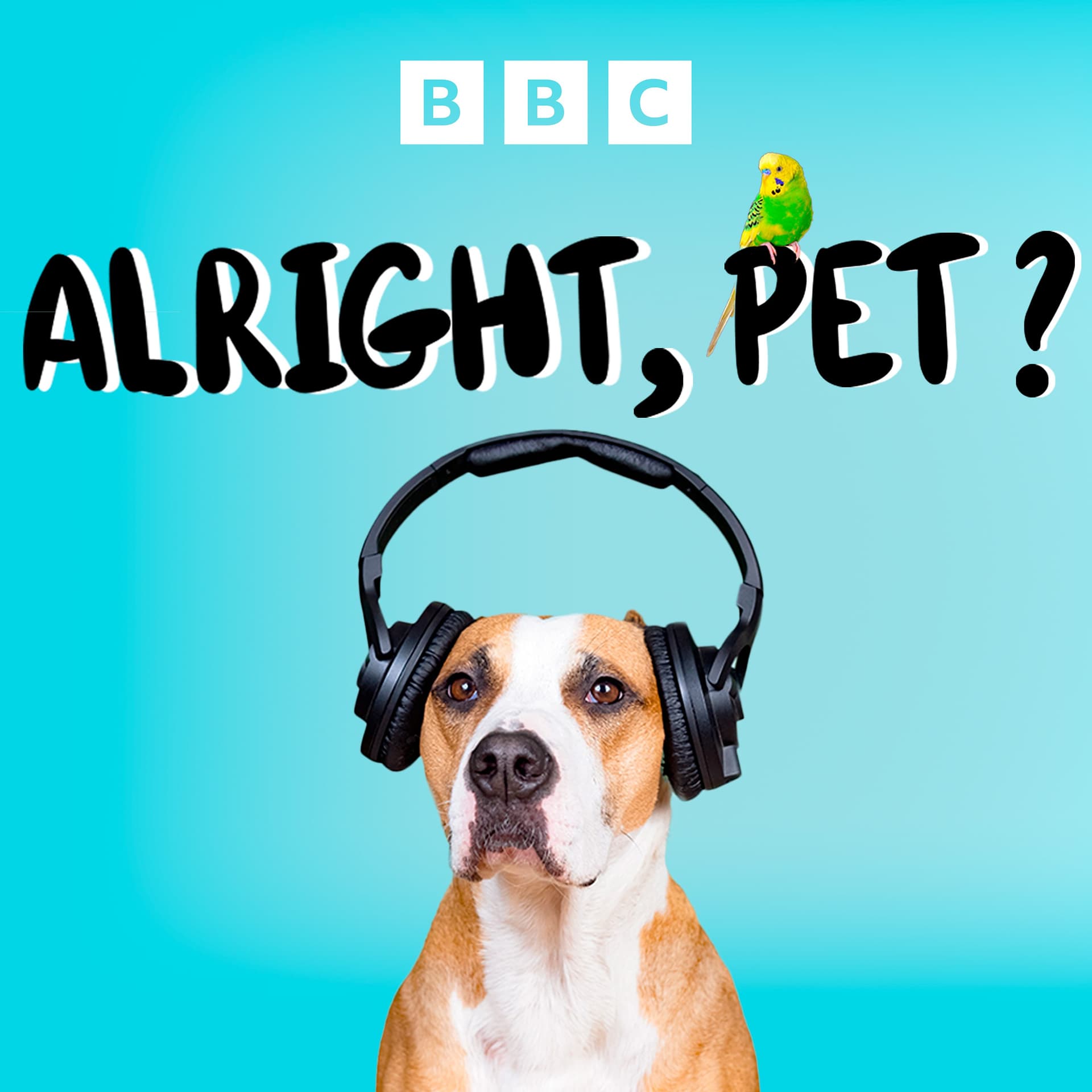 Alright, Pet? - Podcasts