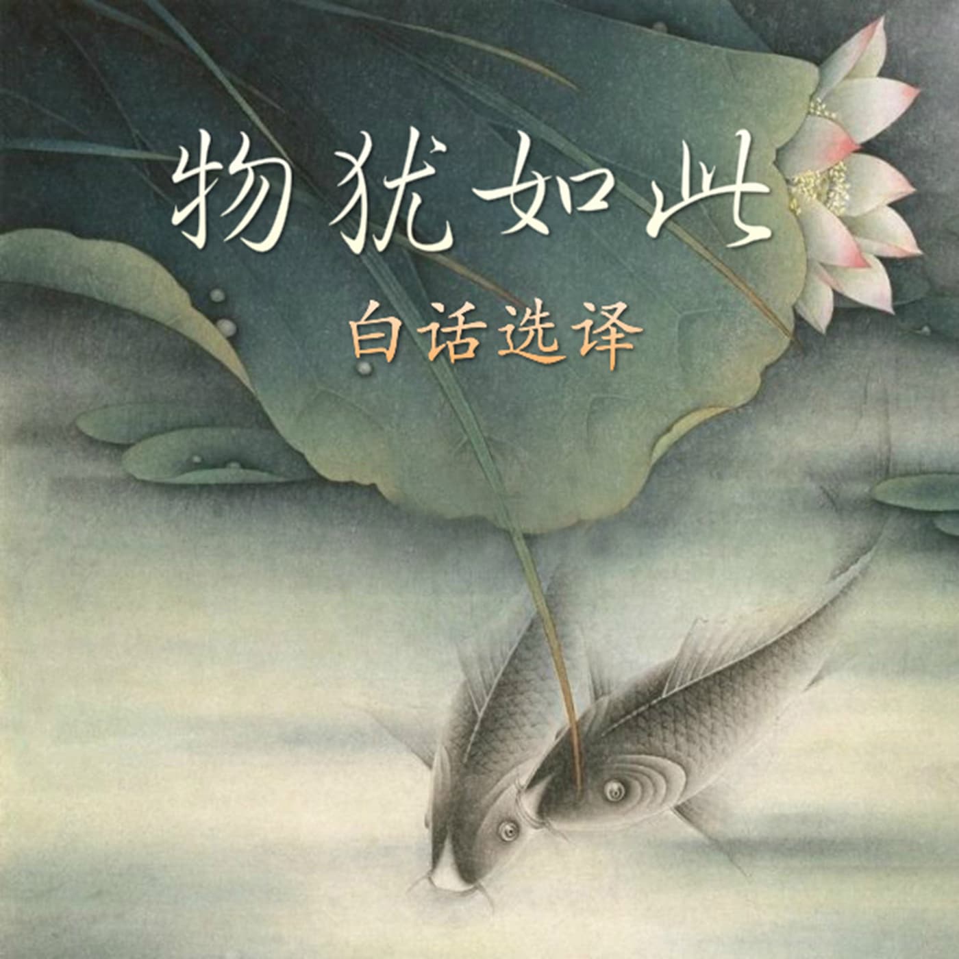 《物犹如此》白话选译 - Podcasts