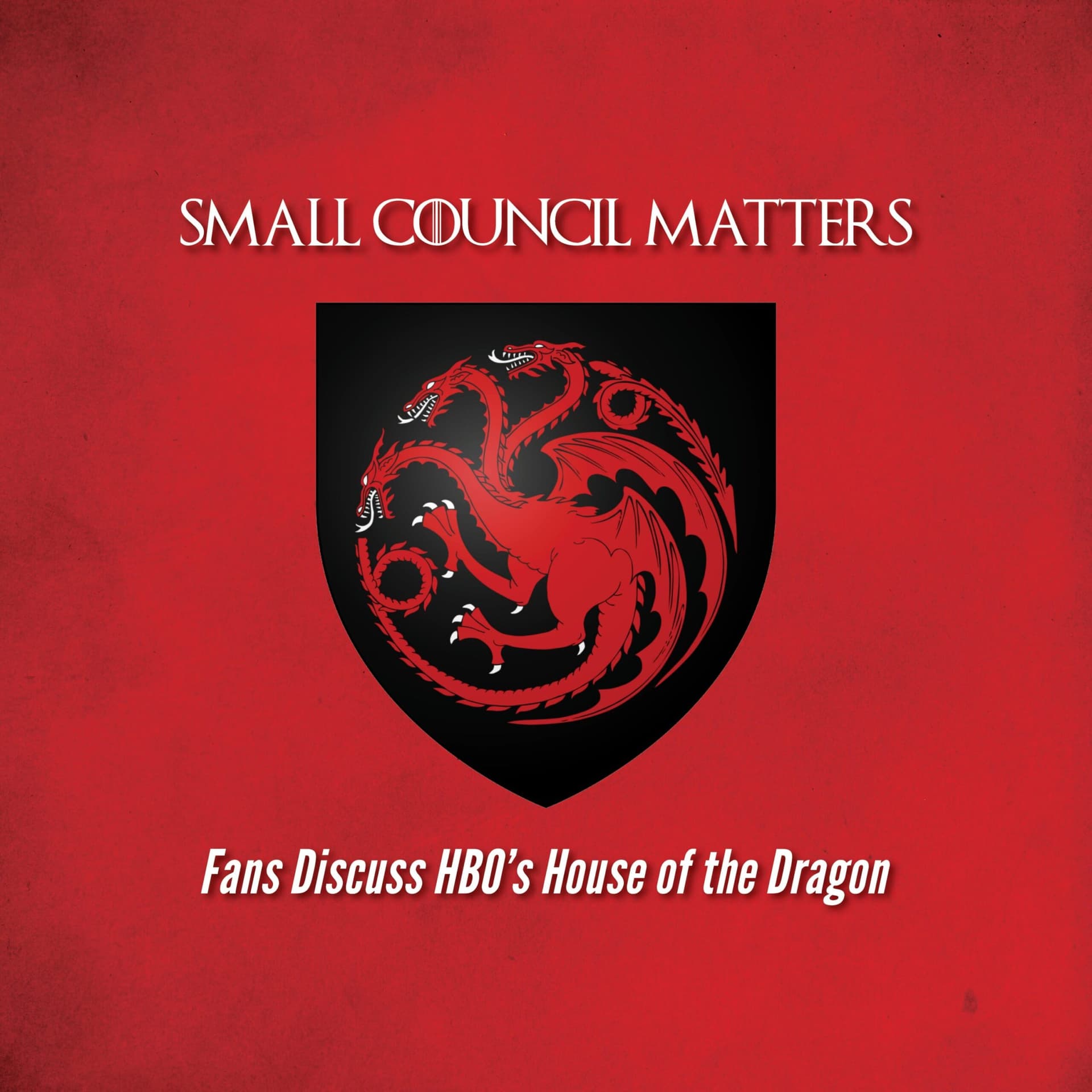 Small Council Matters - Podcasts
