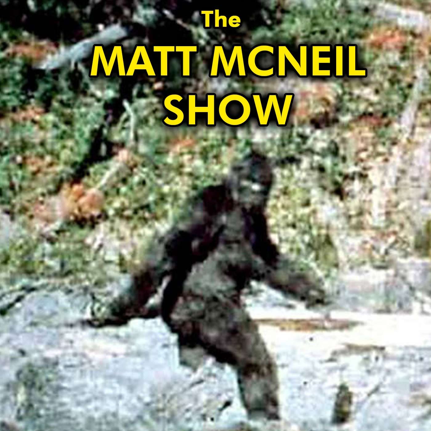 The Matt McNeil Show - Podcasts