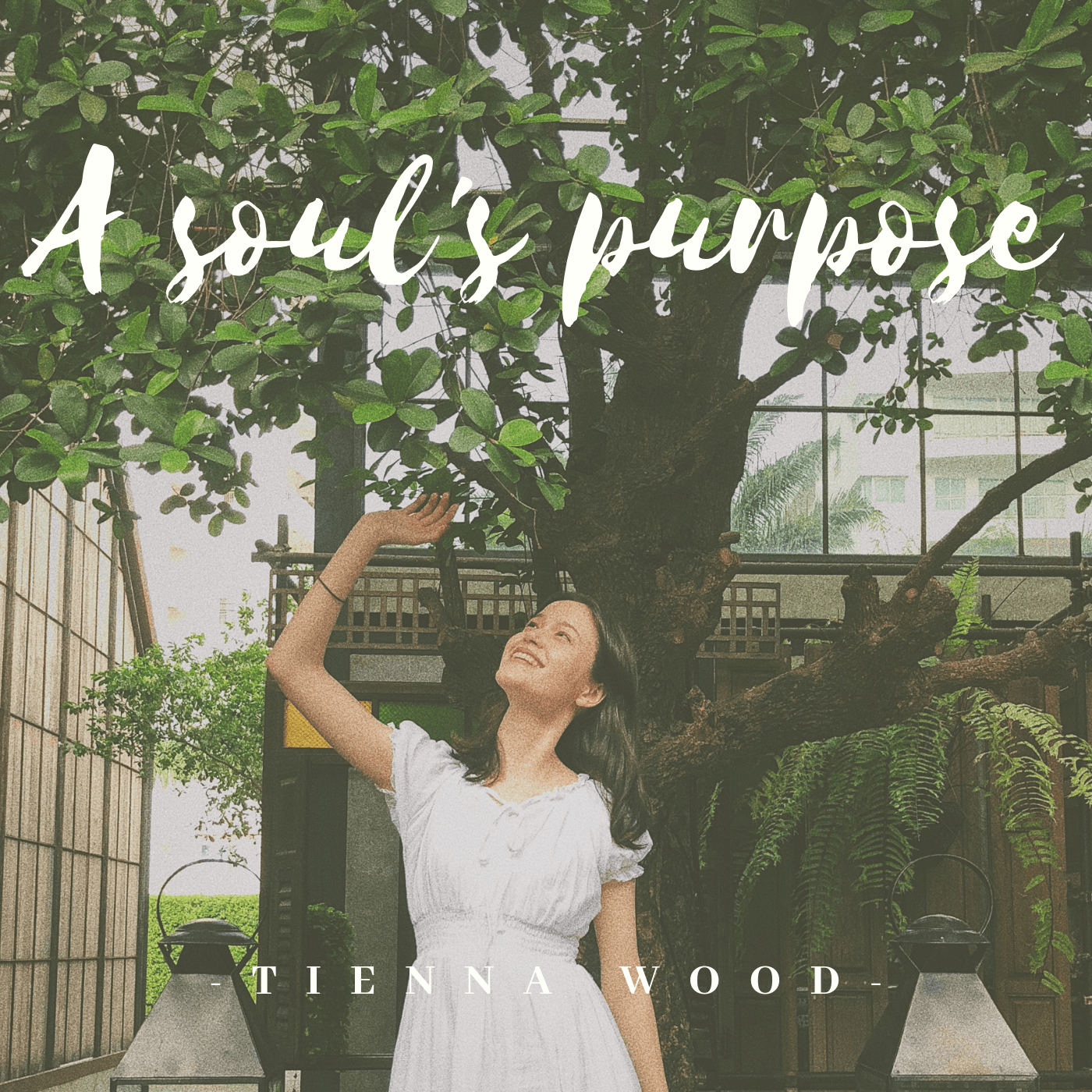 A Soul's Purpose Podcast - Podcast