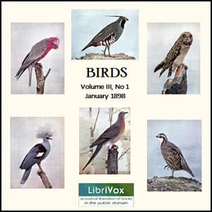 Birds, Vol. III, No 1, January 1898 by Various - Podcasts