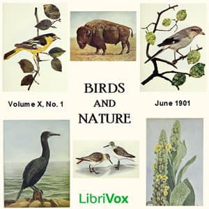Birds and Nature, Vol. X, No 1, June 1901 by Various - Podcasts