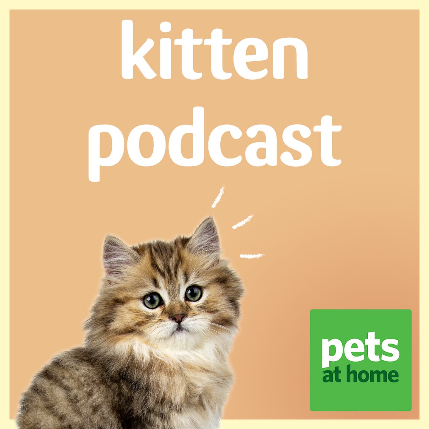 Pets at Home Kitten Podcast - Podcasts