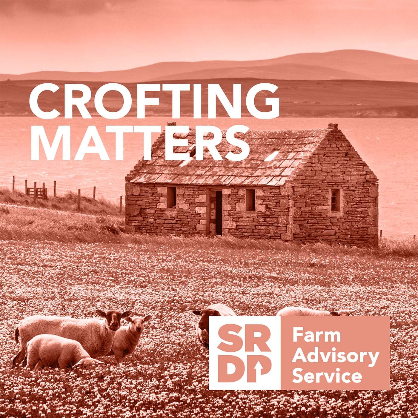 Crofting Matters - Podcasts