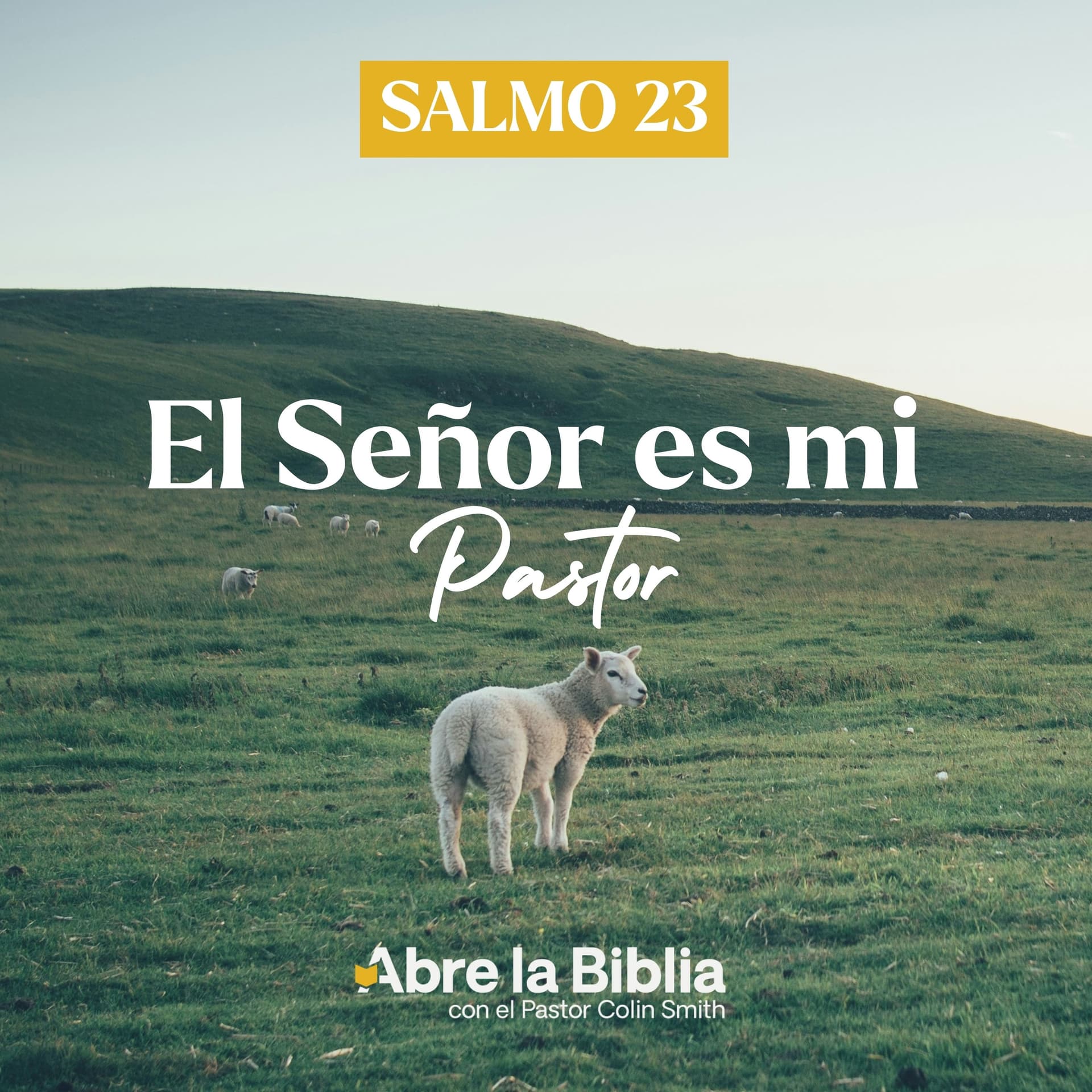 Salmo 23 - El Señor es mi Pastor - Podcasts
