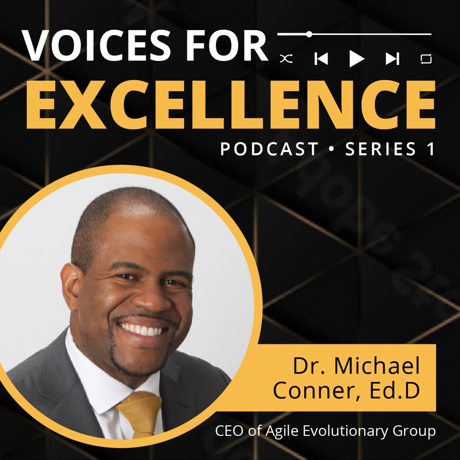 Voices for Excellence - Podcasts
