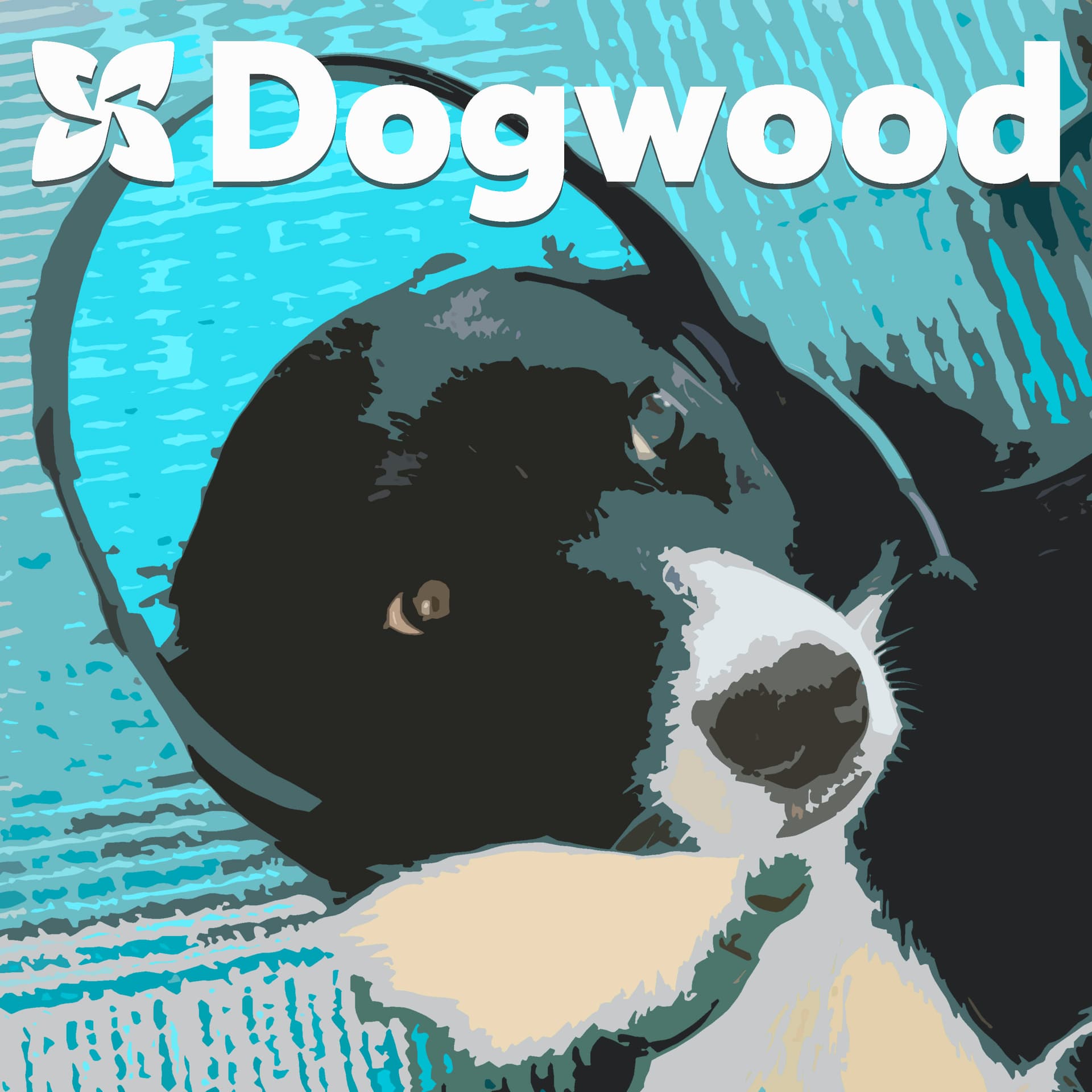 The Dogwood Podcast - Podcast