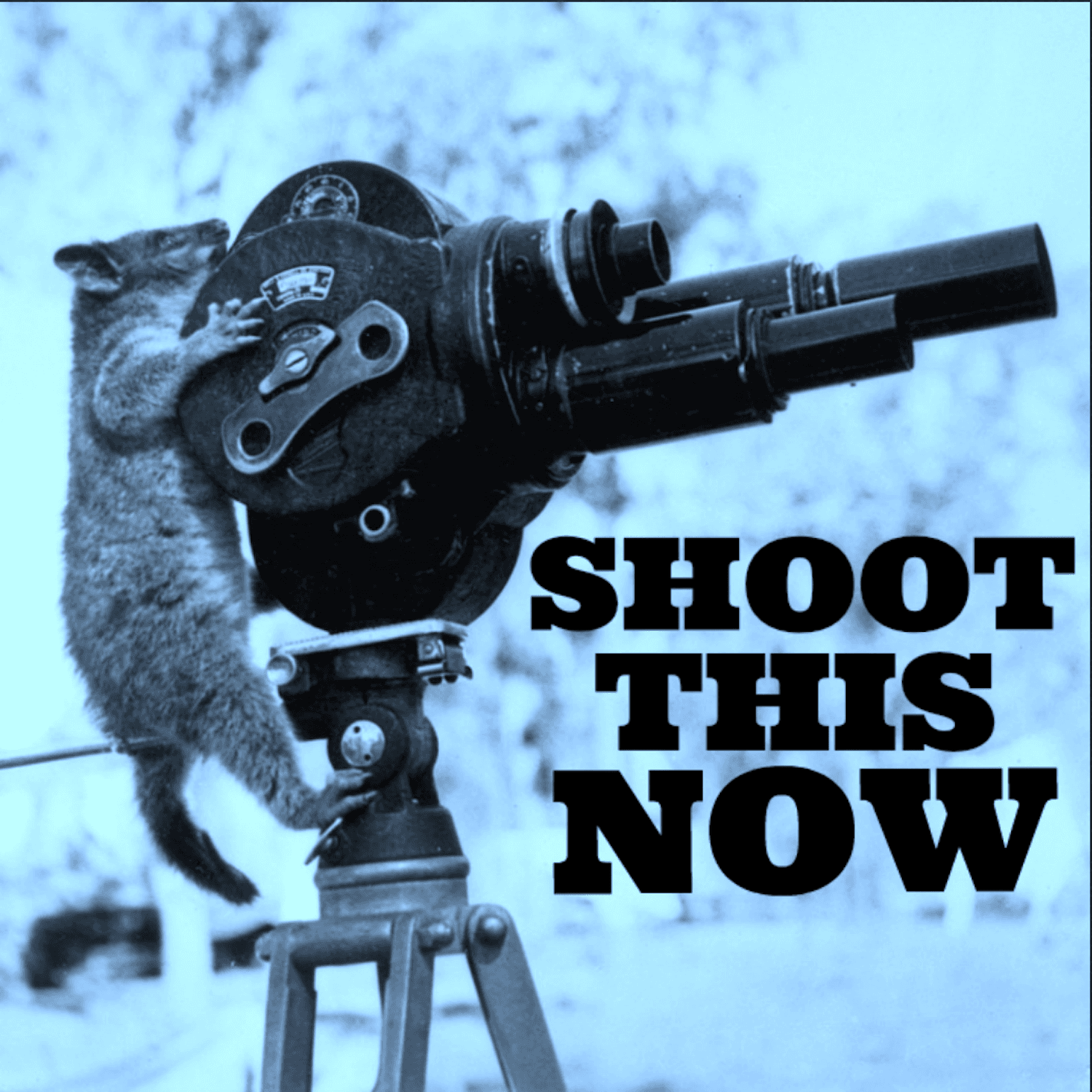 Shoot This Now - Podcasts