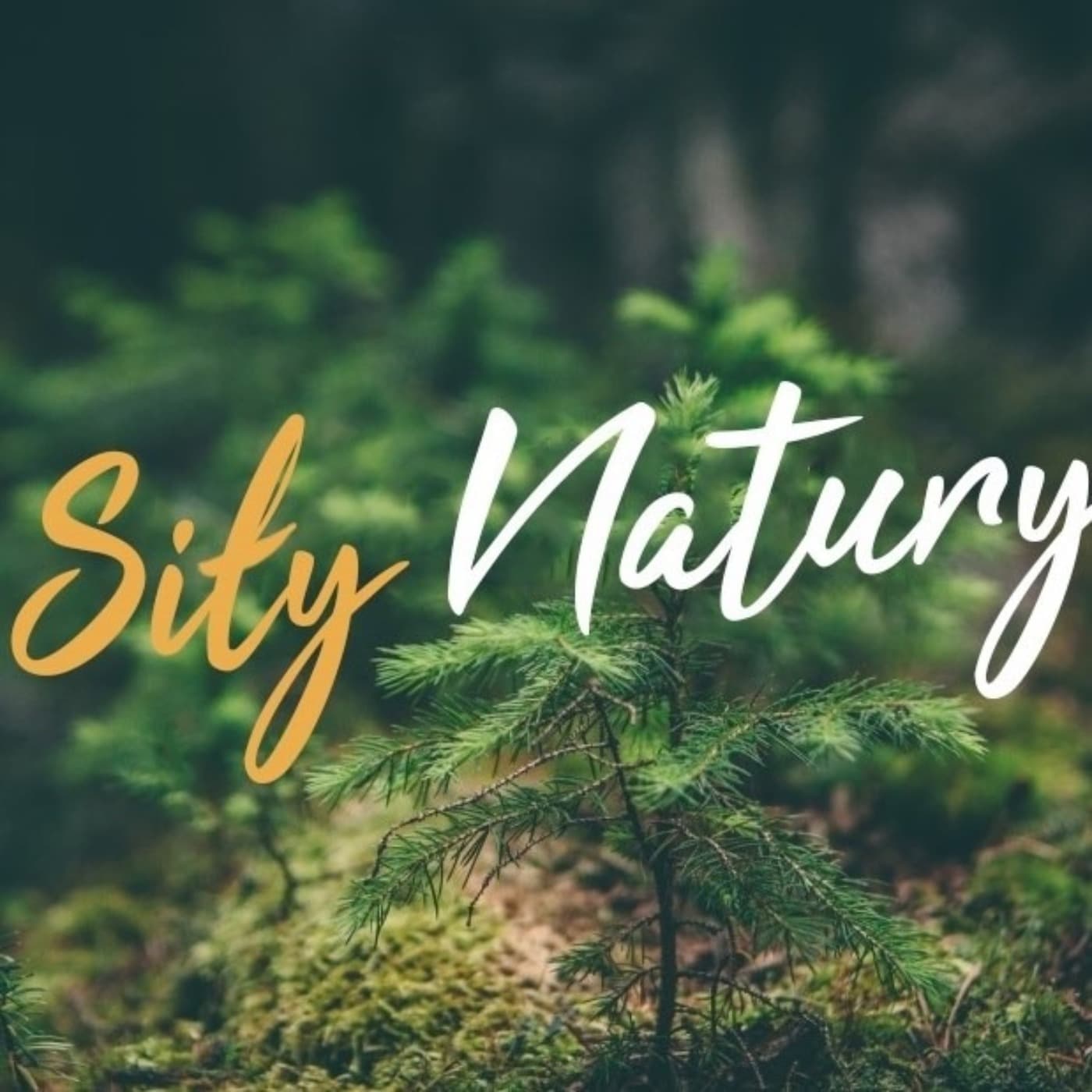 Siły Natury Blog - Podcasty