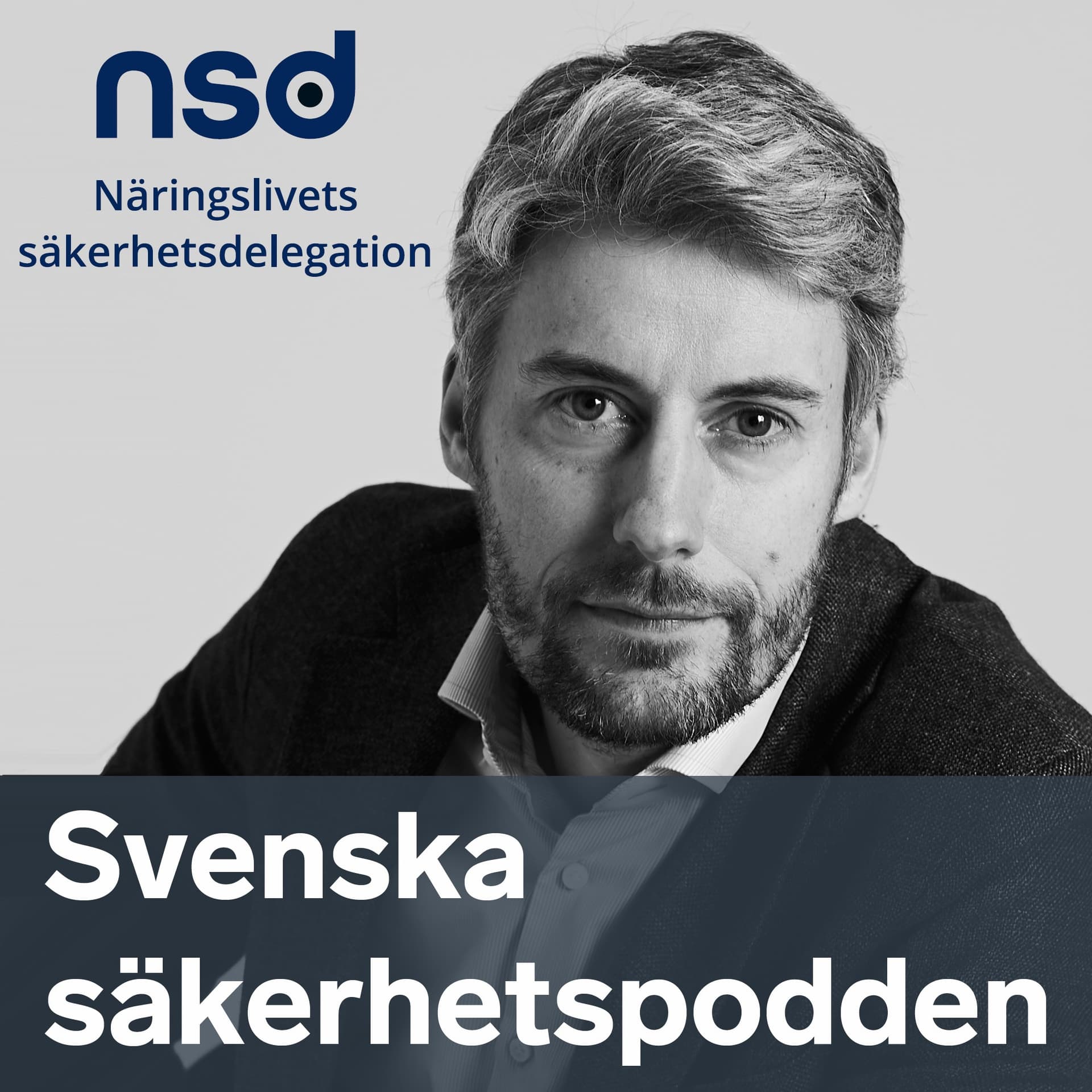 Svenska säkerhetspodden - Podcasts
