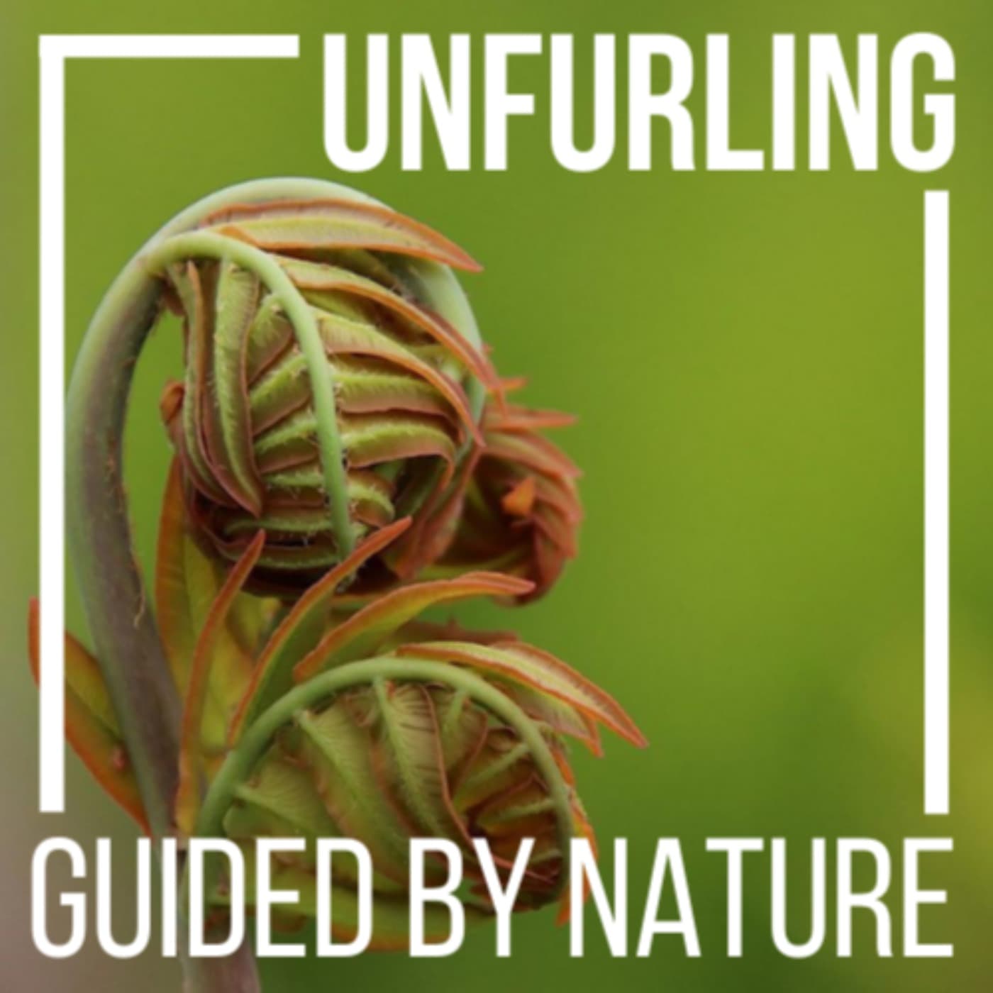Unfurling - Podcasts