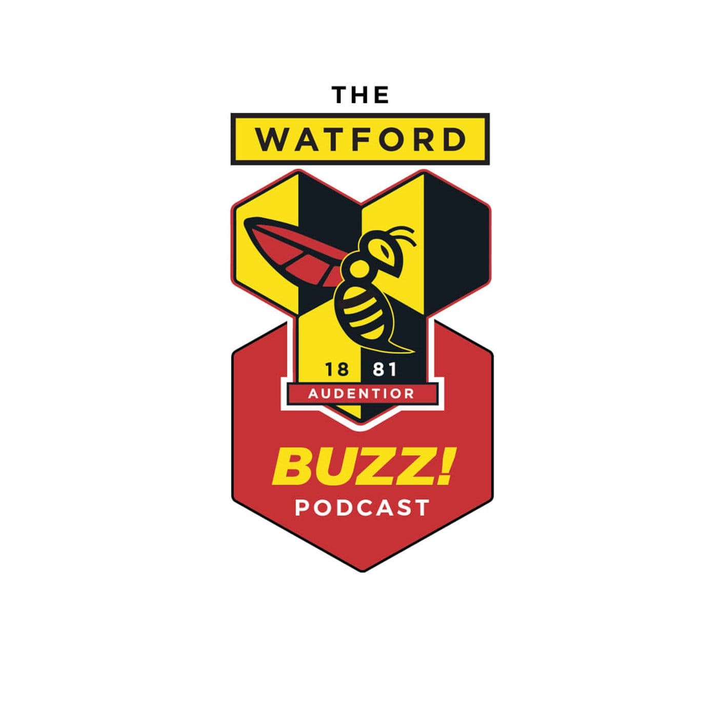 The Watford FC Buzz Podcast - Podcasts