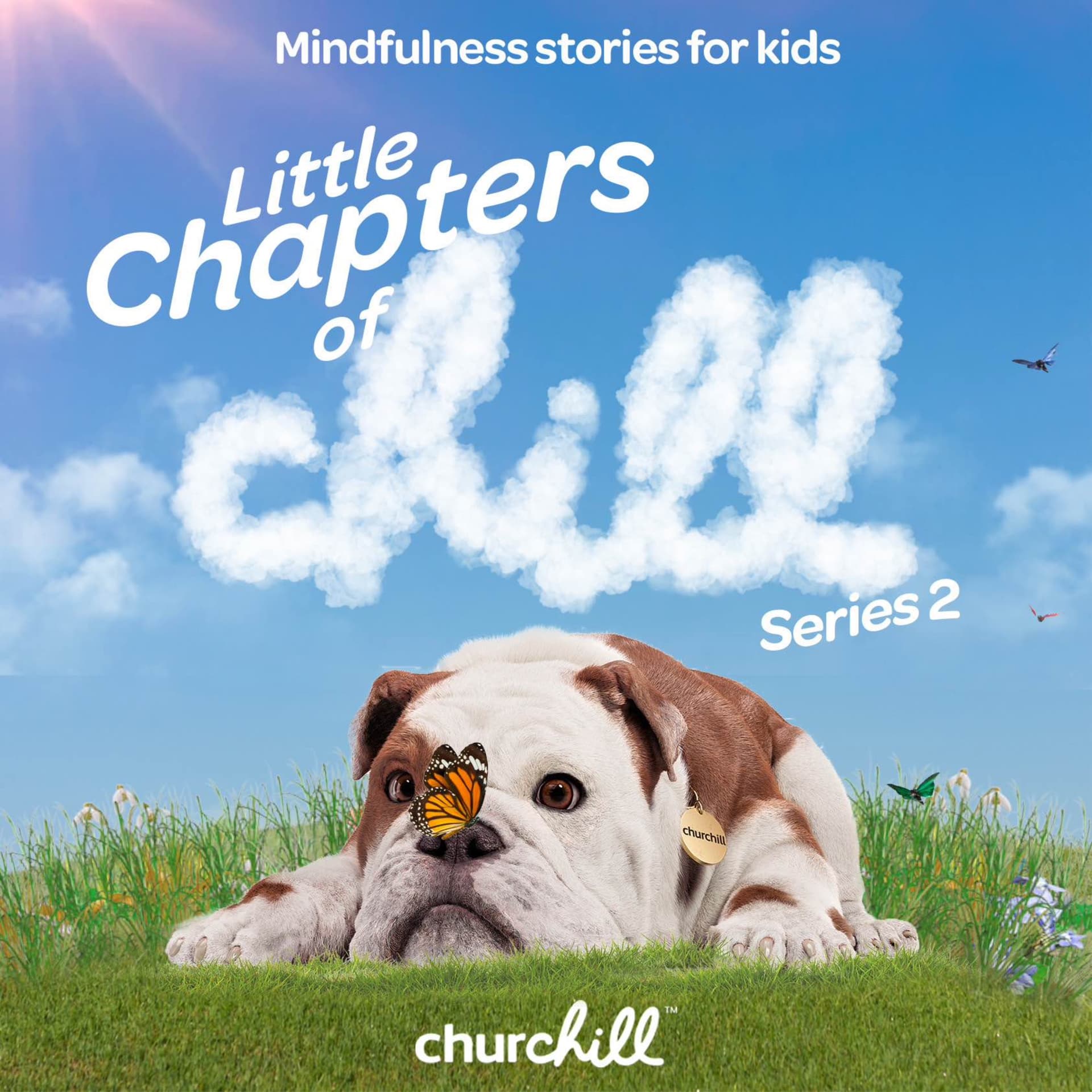 Little Chapters of Chill - Podcasts