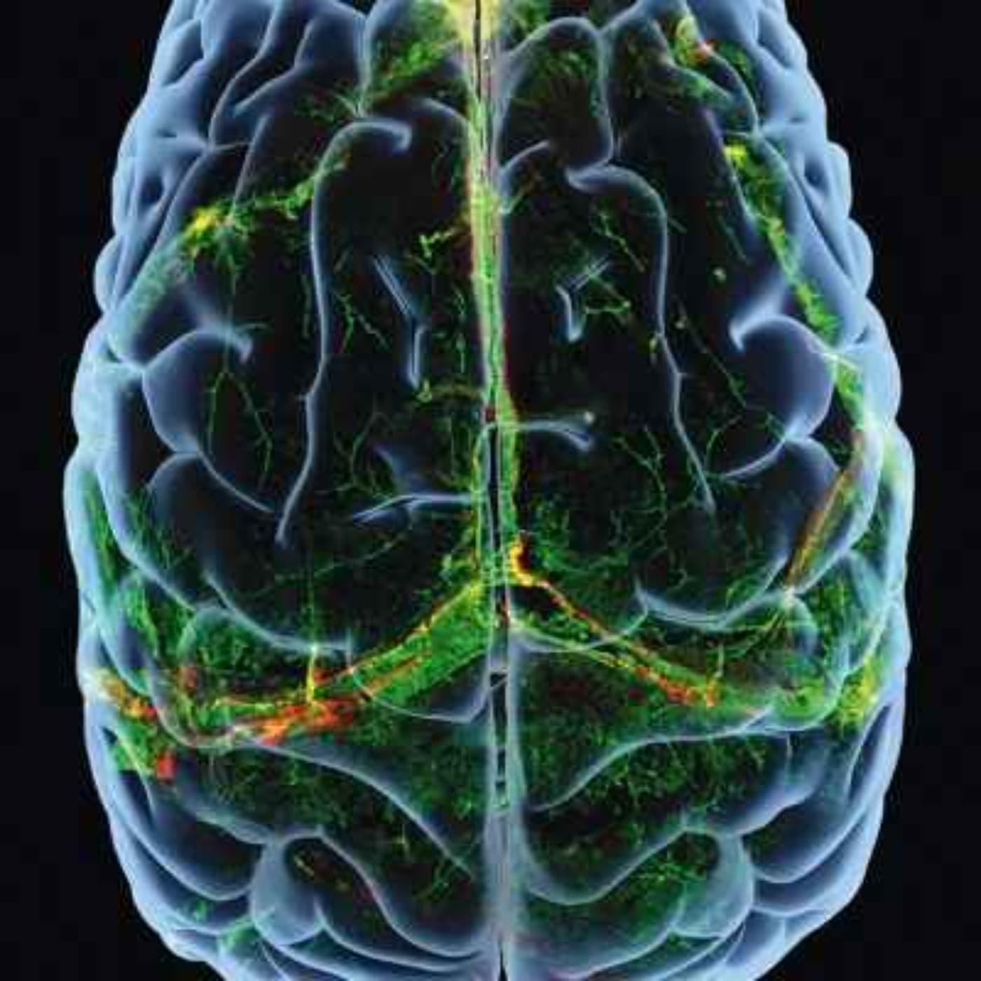 NPP BrainPod - Podcasts