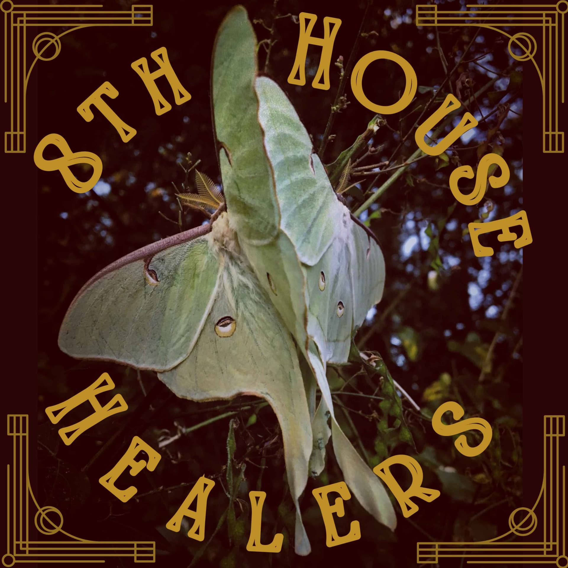 8th House Healers - Podcasts