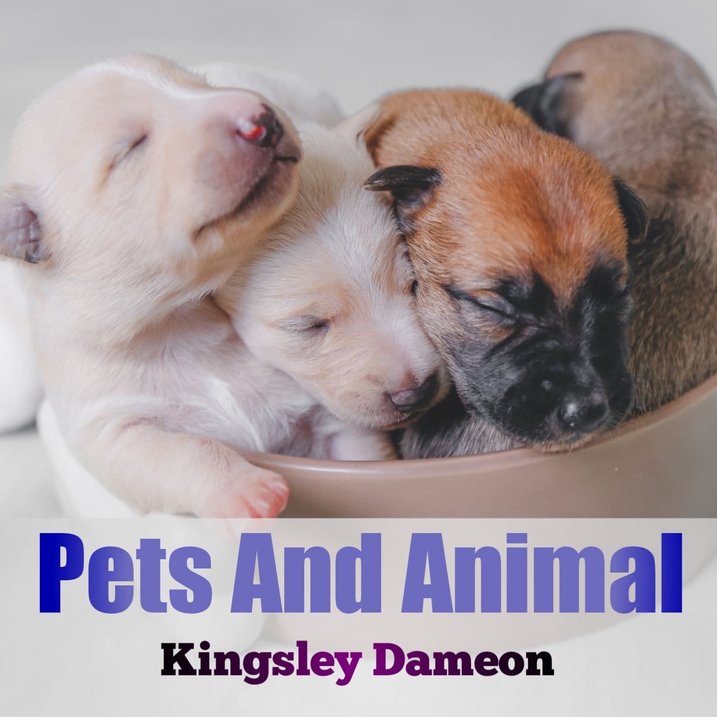How You Can Help Fight Animal Cruelty - Podcasty