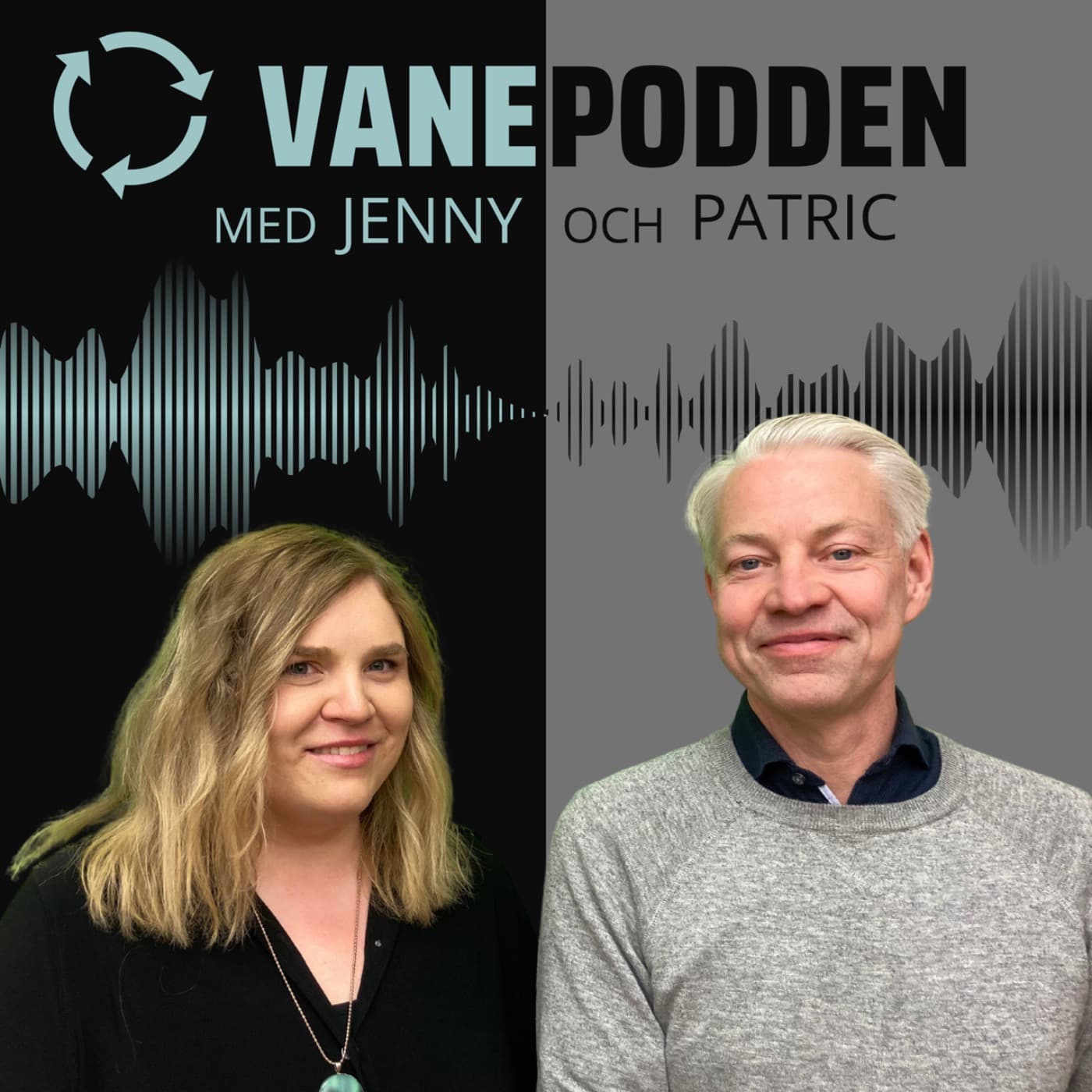 Vanepodden - Podcasts
