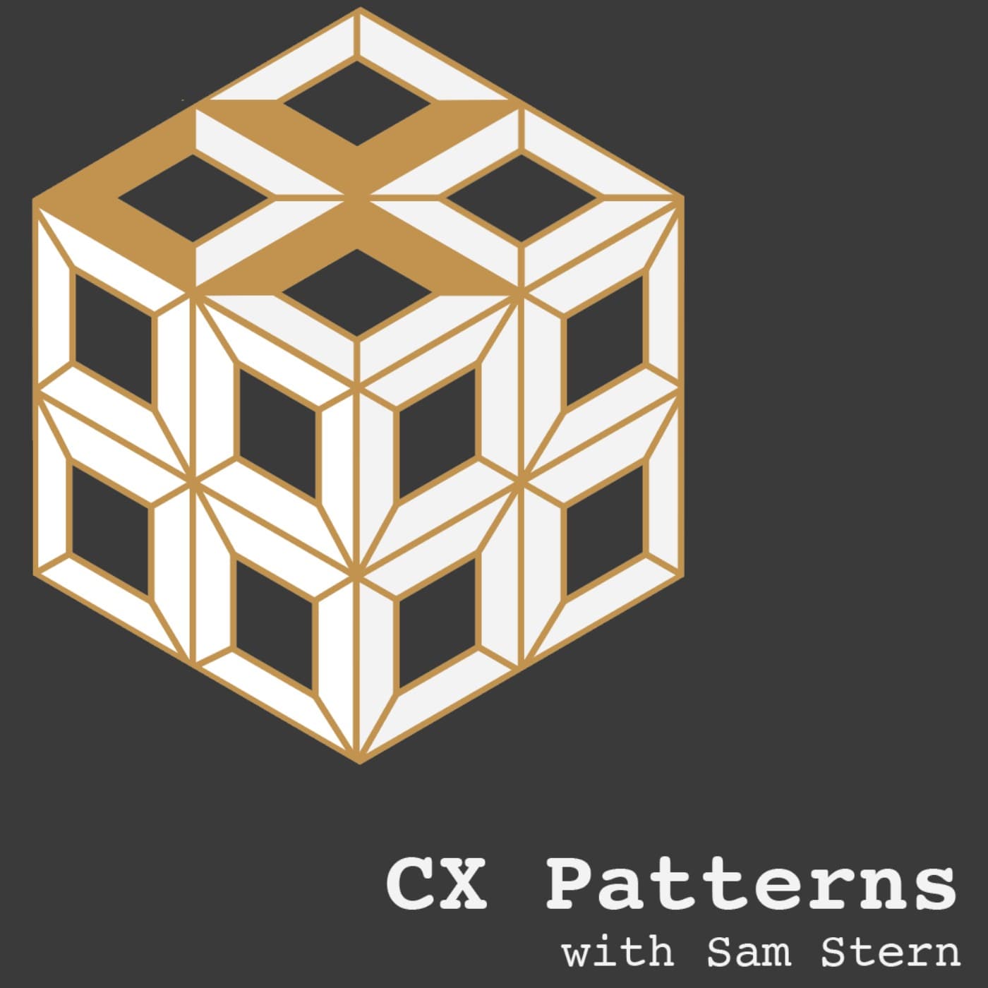 Customer Experience Patterns Podcast - Podcasts