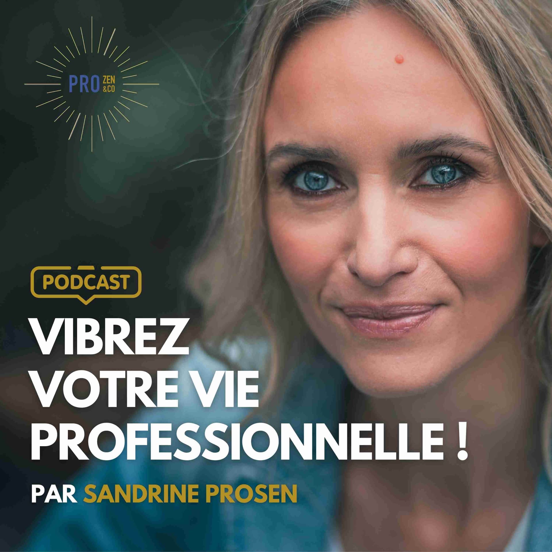 Vibrez Votre Vie Professionnelle! Par Sandrine Krief (Prosen) - Podcasts