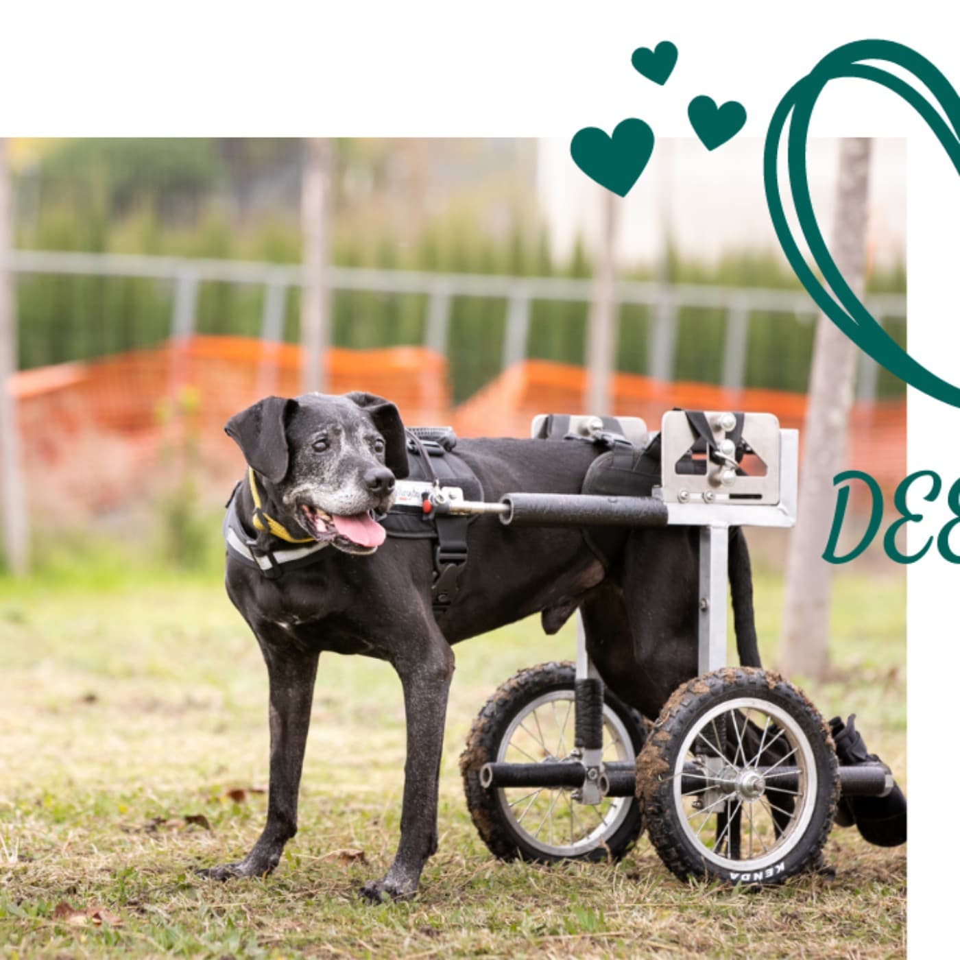 DeeDee on Wheels - Podcast