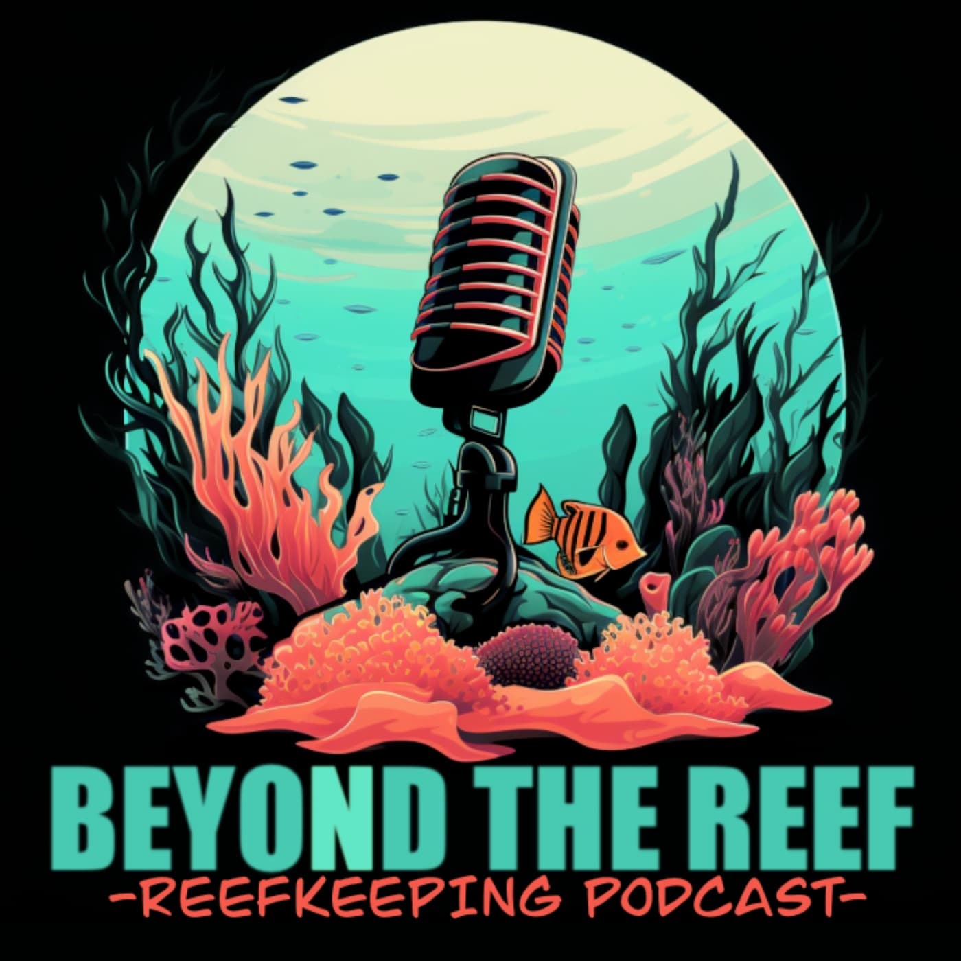 Beyond The Reef - Podcasts
