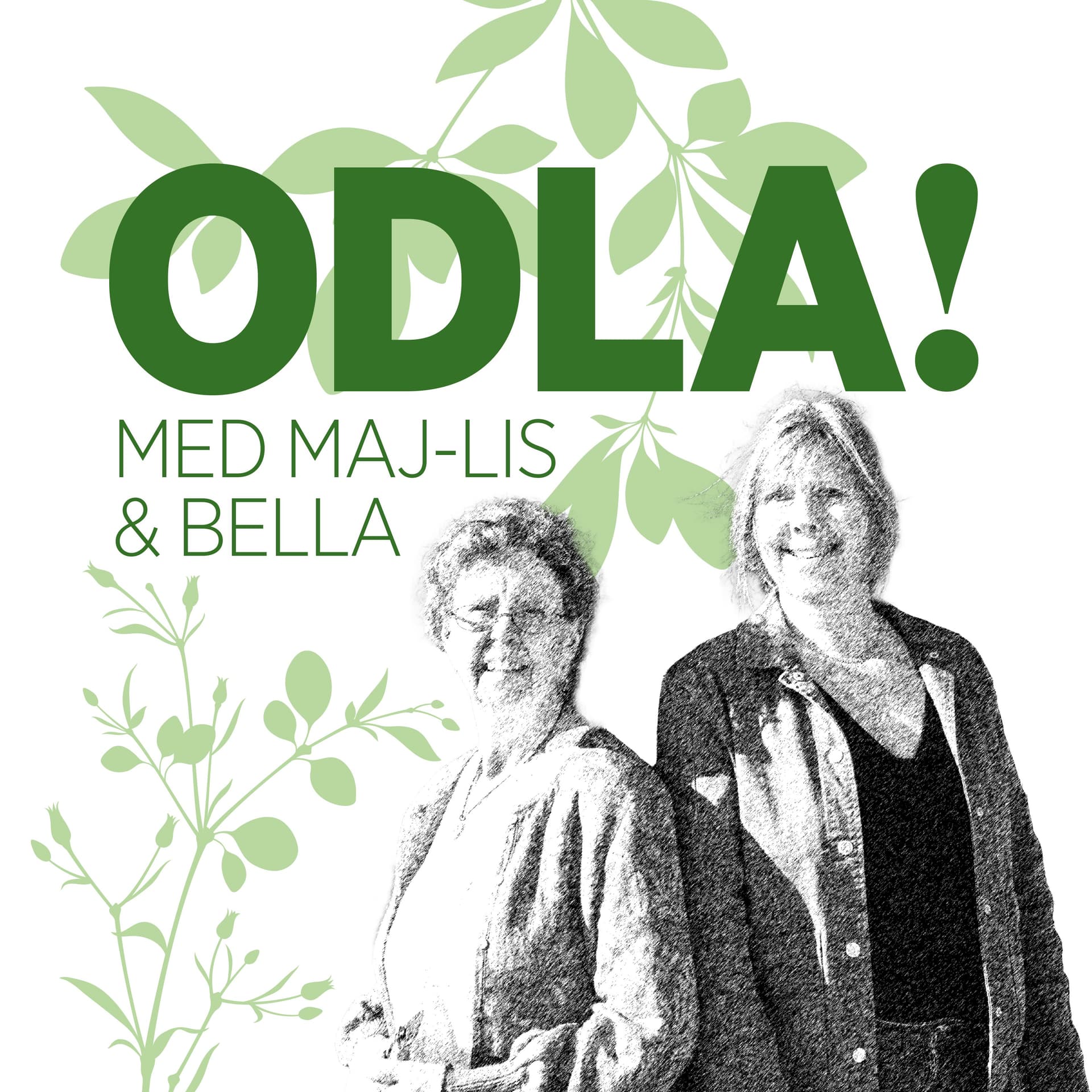 ODLA! - Podcasts