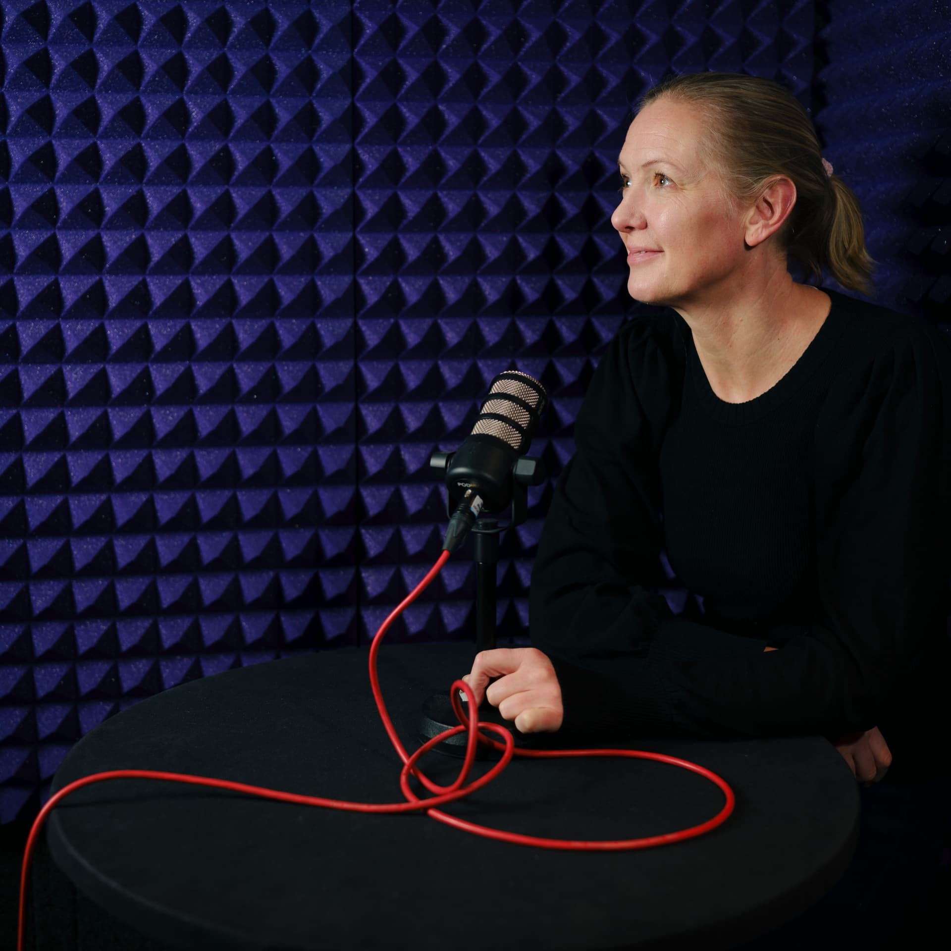 Verdistrategipodden - Podcasts