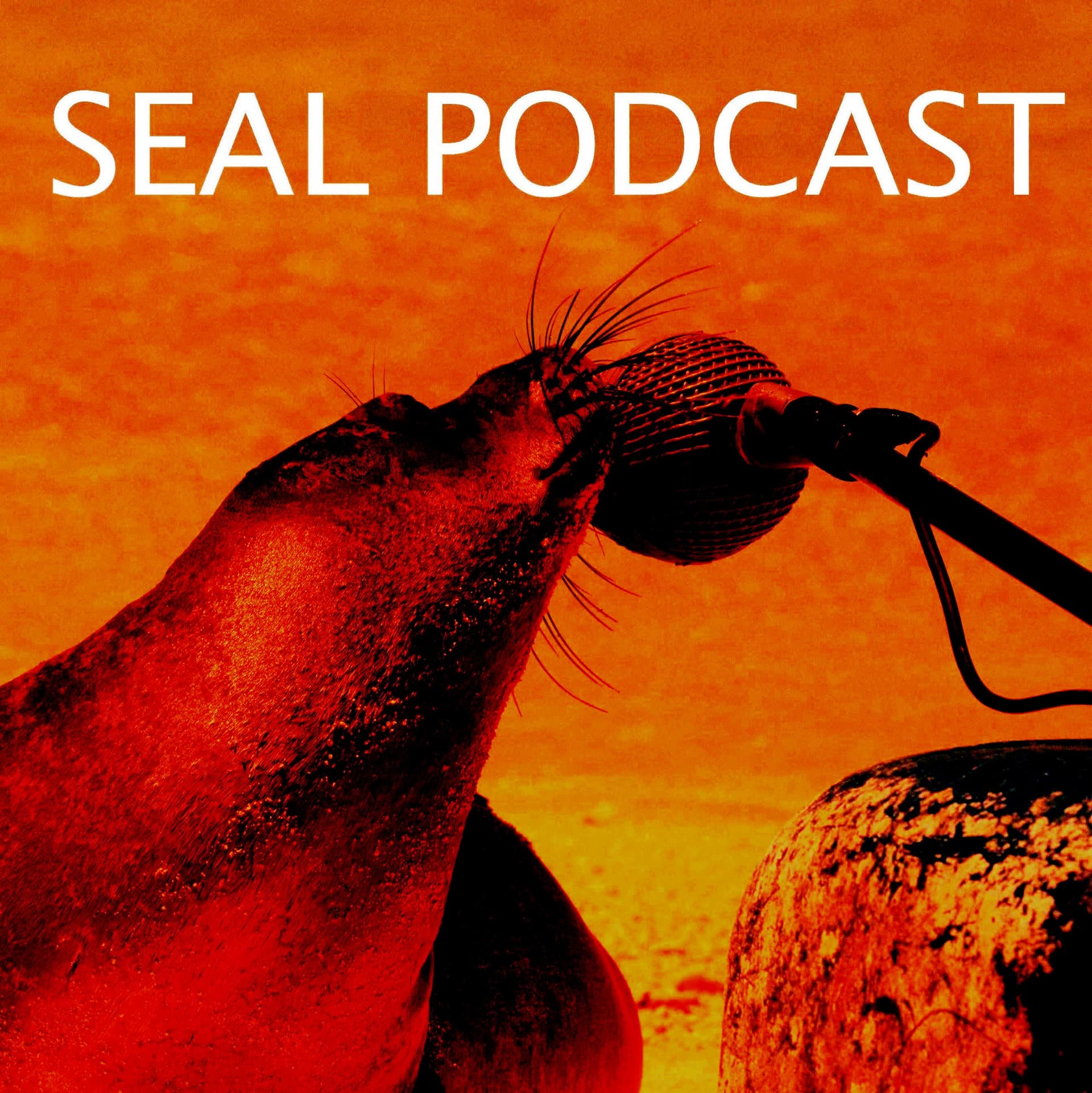 The Seal Podcast - Podcasts