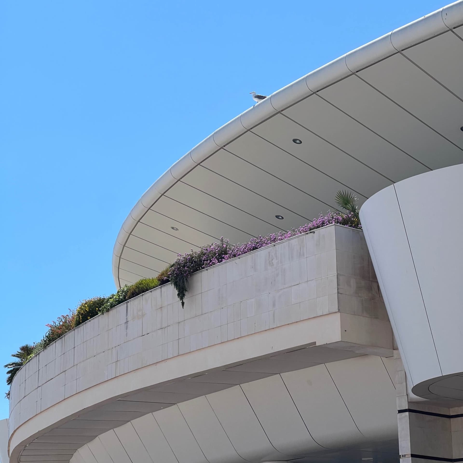 Ma vie au festival de Cannes - Podcasts