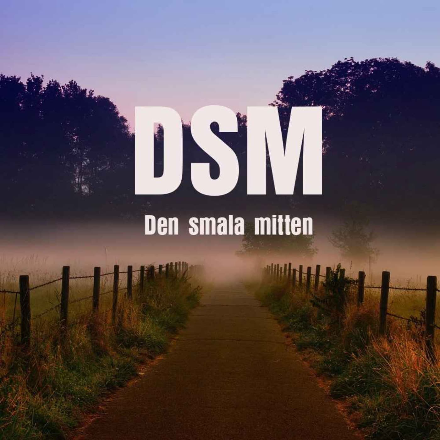 Den smala mitten - Podcast