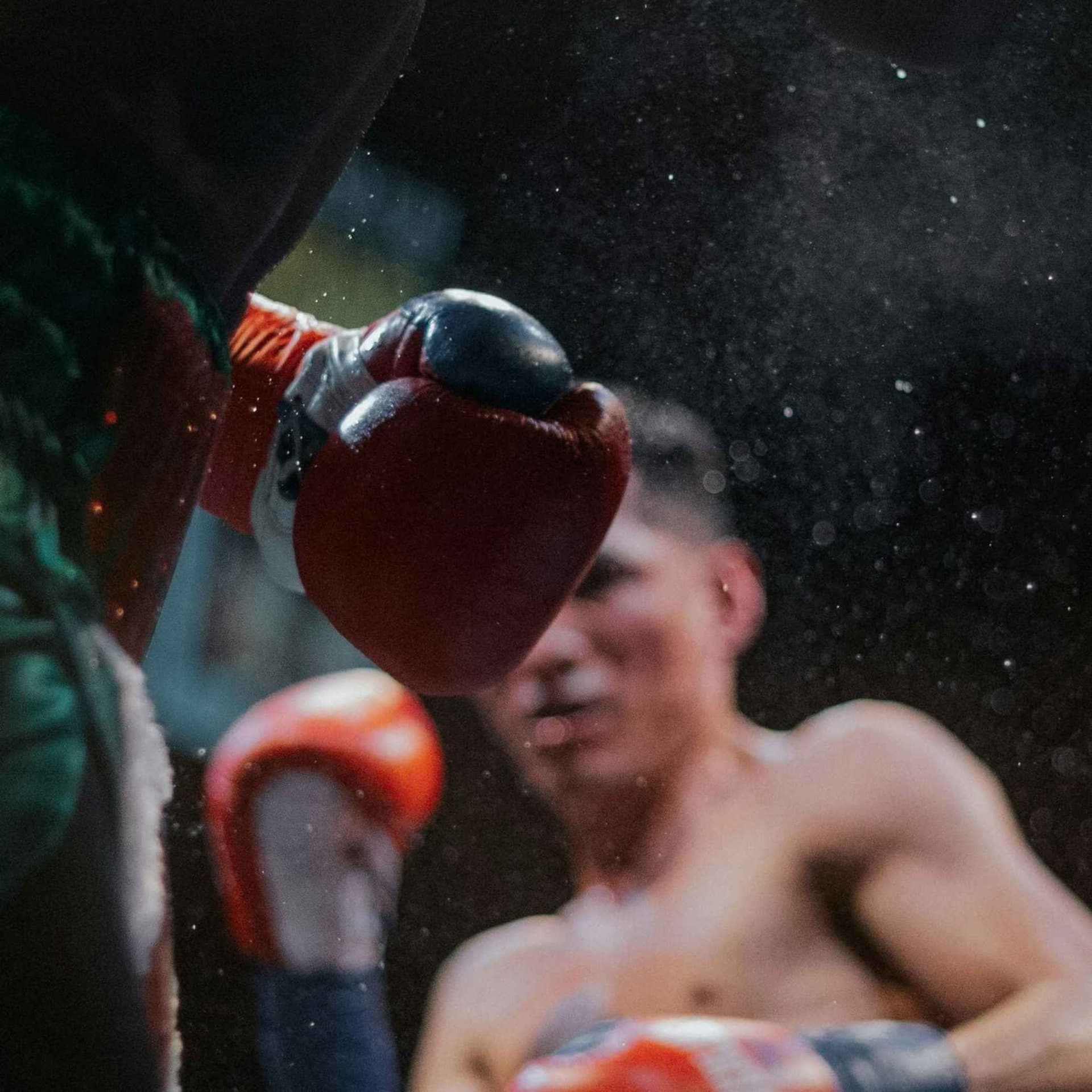 Chroniques de boxe marseillaise - Podcasts