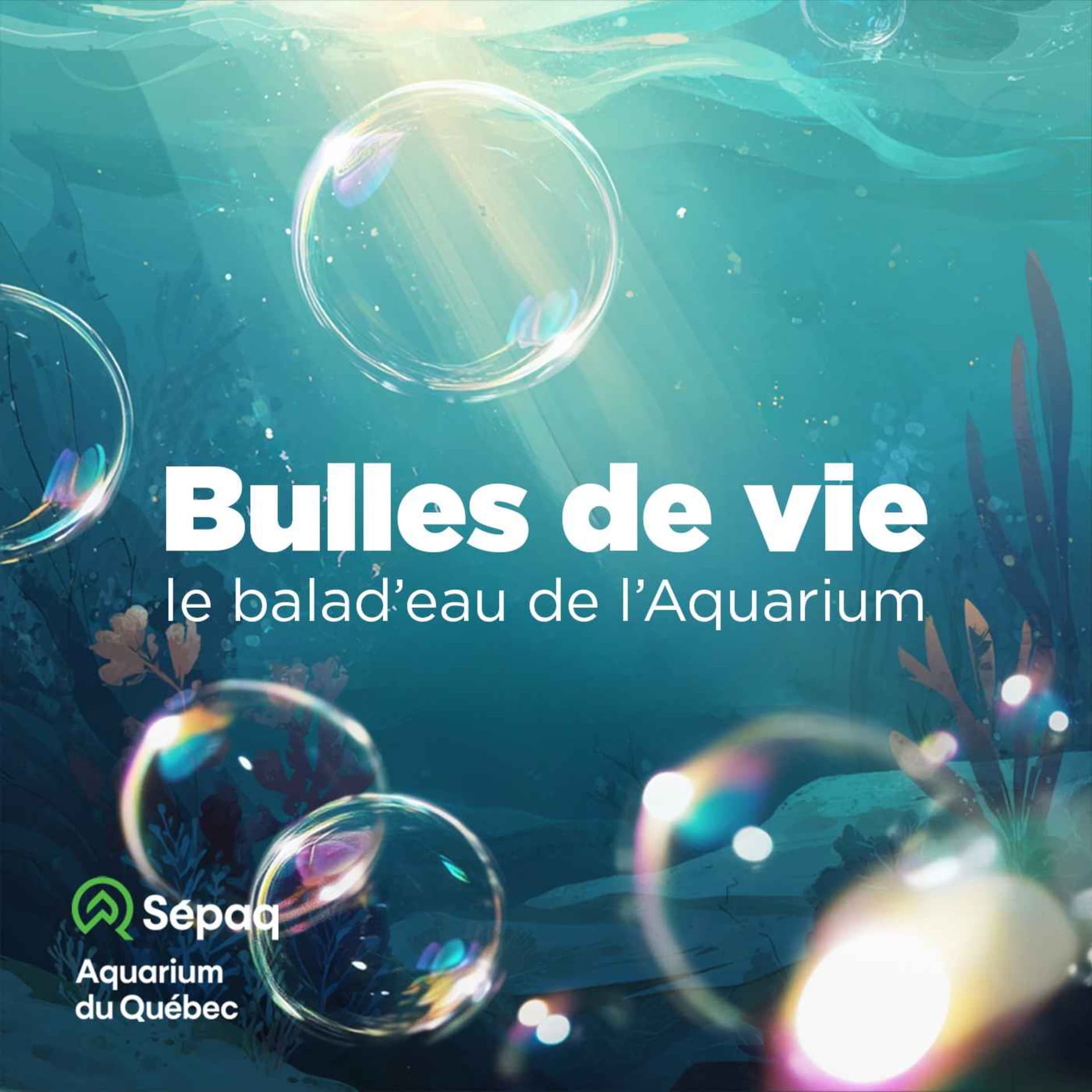 Bulles de vie : le balad'eau de l'Aquarium - Podcast
