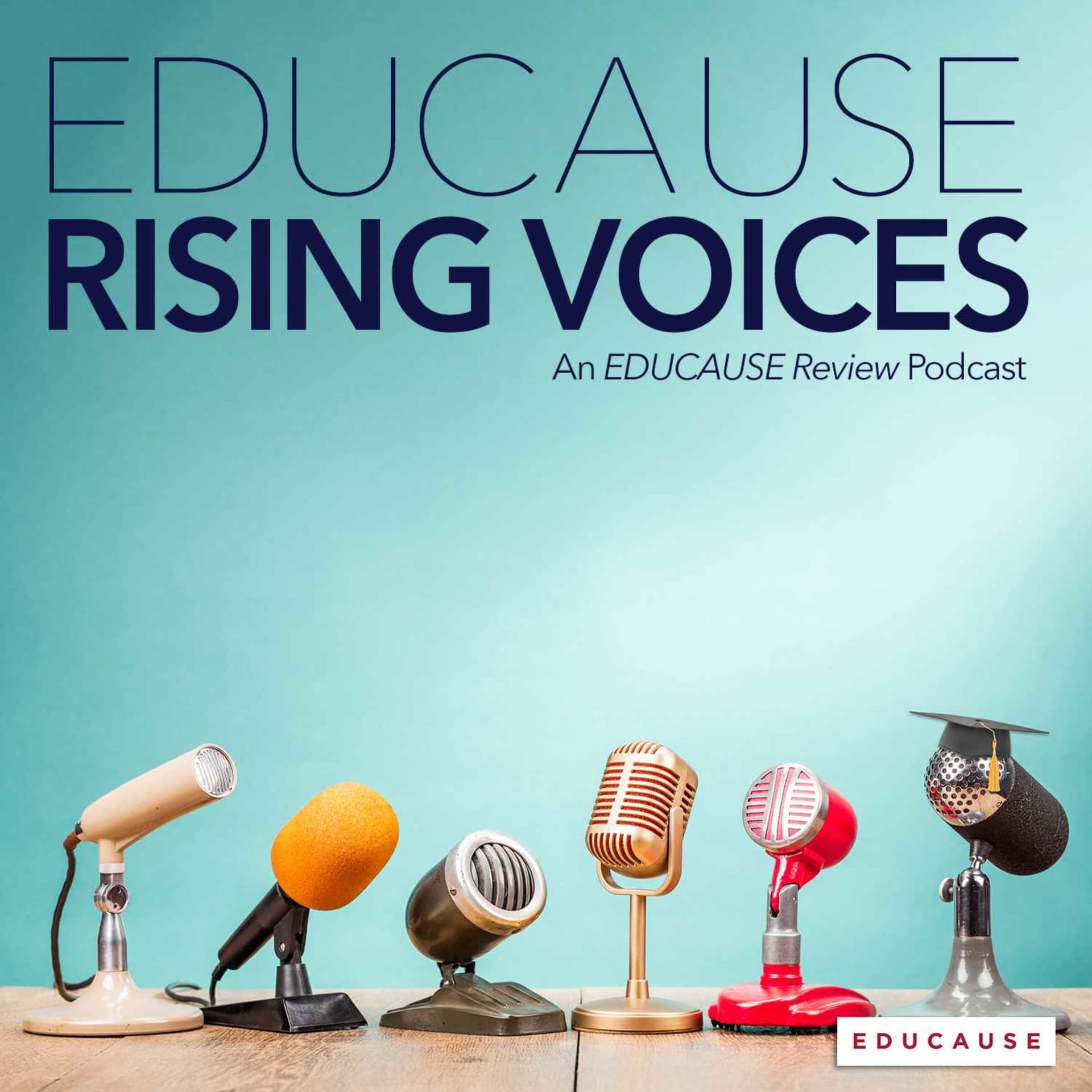 EDUCAUSE Rising Voices - Podcasts