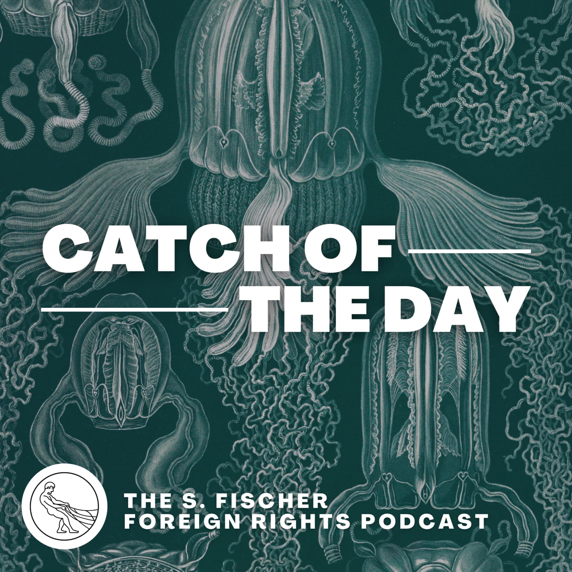 Catch of the Day - The S. Fischer Foreign Rights Podcast - Podcasts