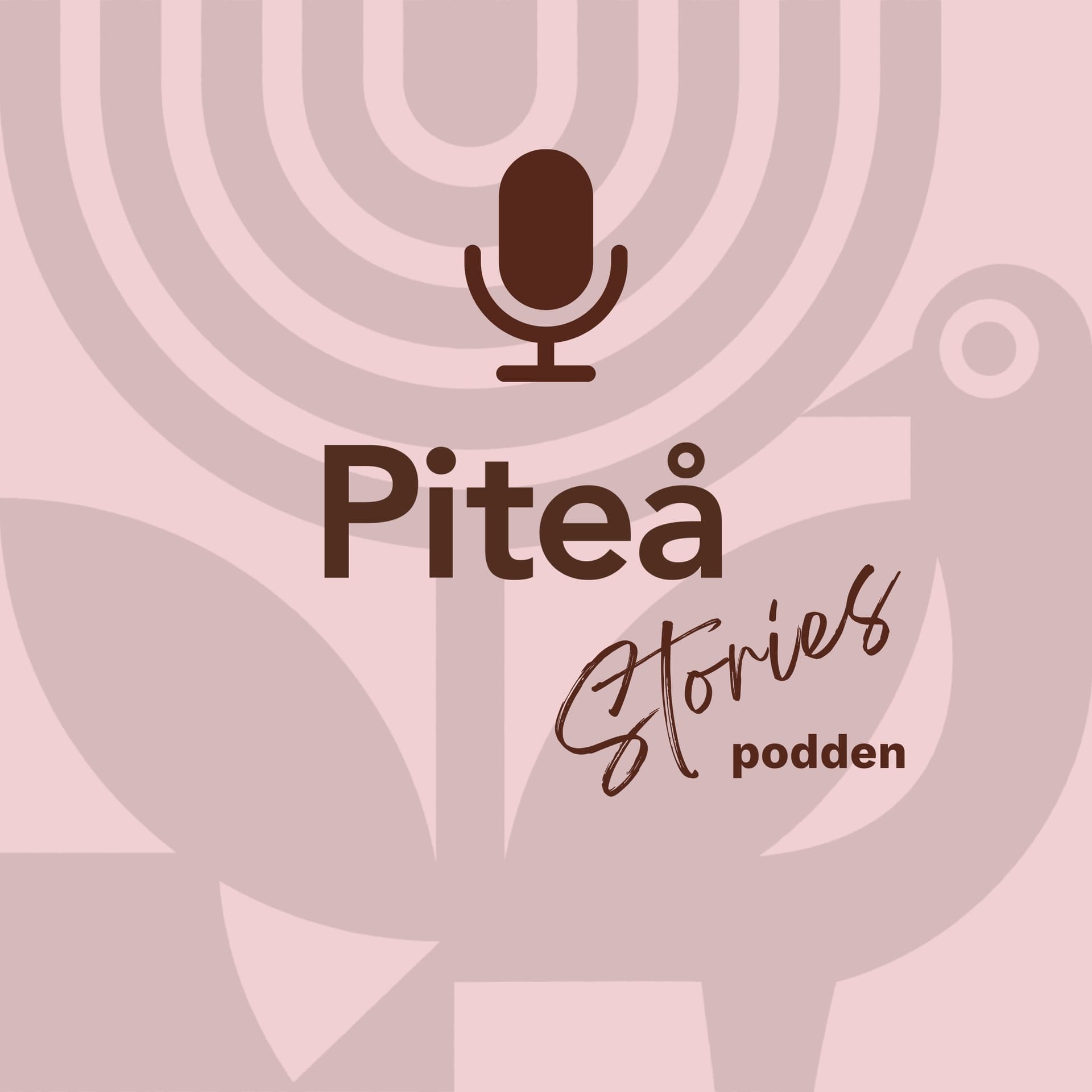 Piteå Stories - Podcasts