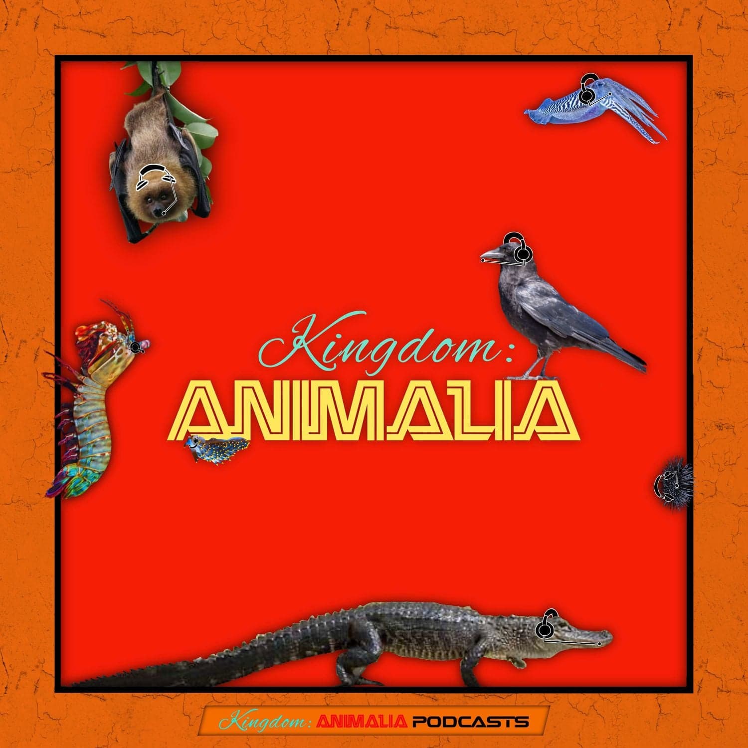 Kingdom: Animalia - A Zoology Podcast for Kids - Podcasts