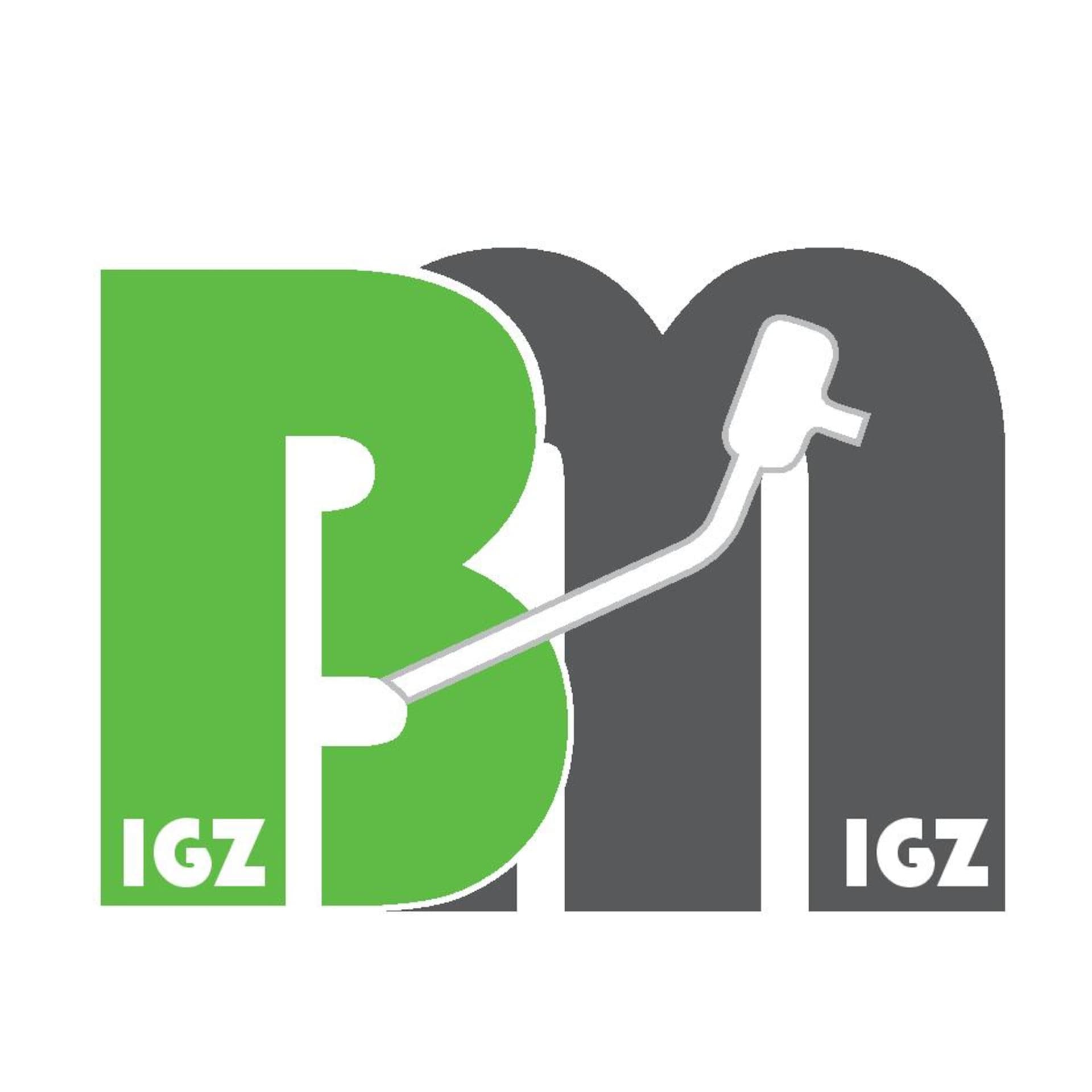 Bigz N Migz Podcast - Podcasts