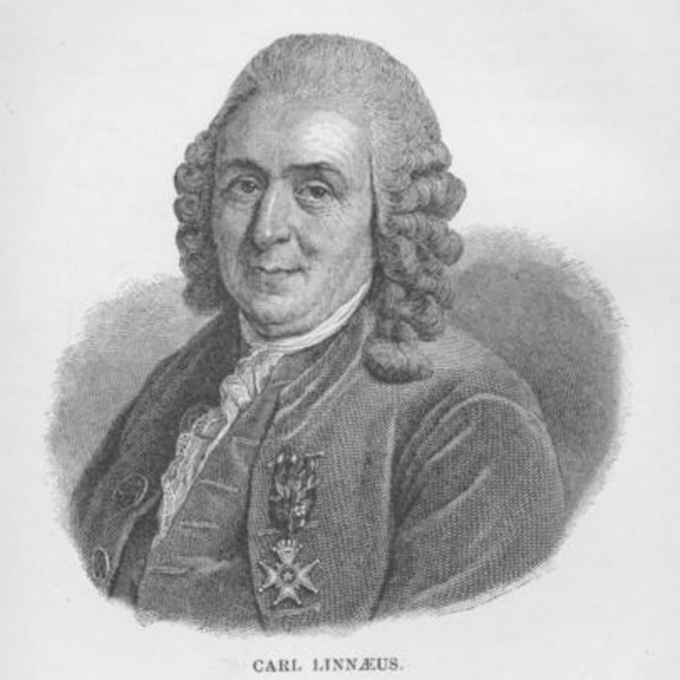 Podding Linnaeus - Podcasts