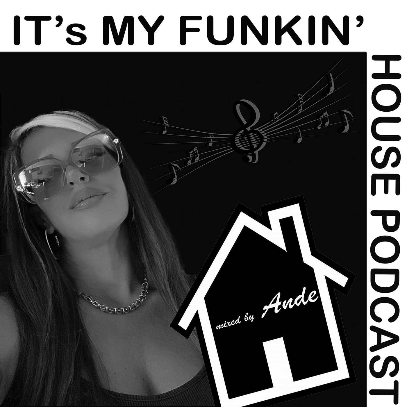 ANDE - Its My Funkin' House Podcast - Podcasts