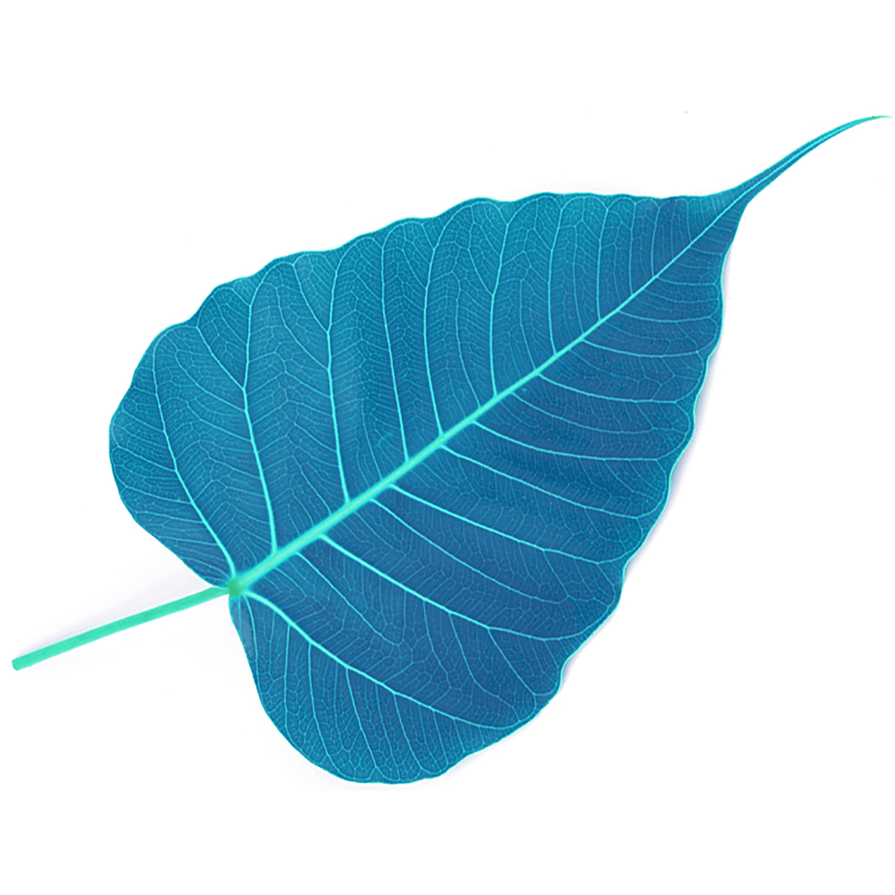 AudioDharma - Podcasts