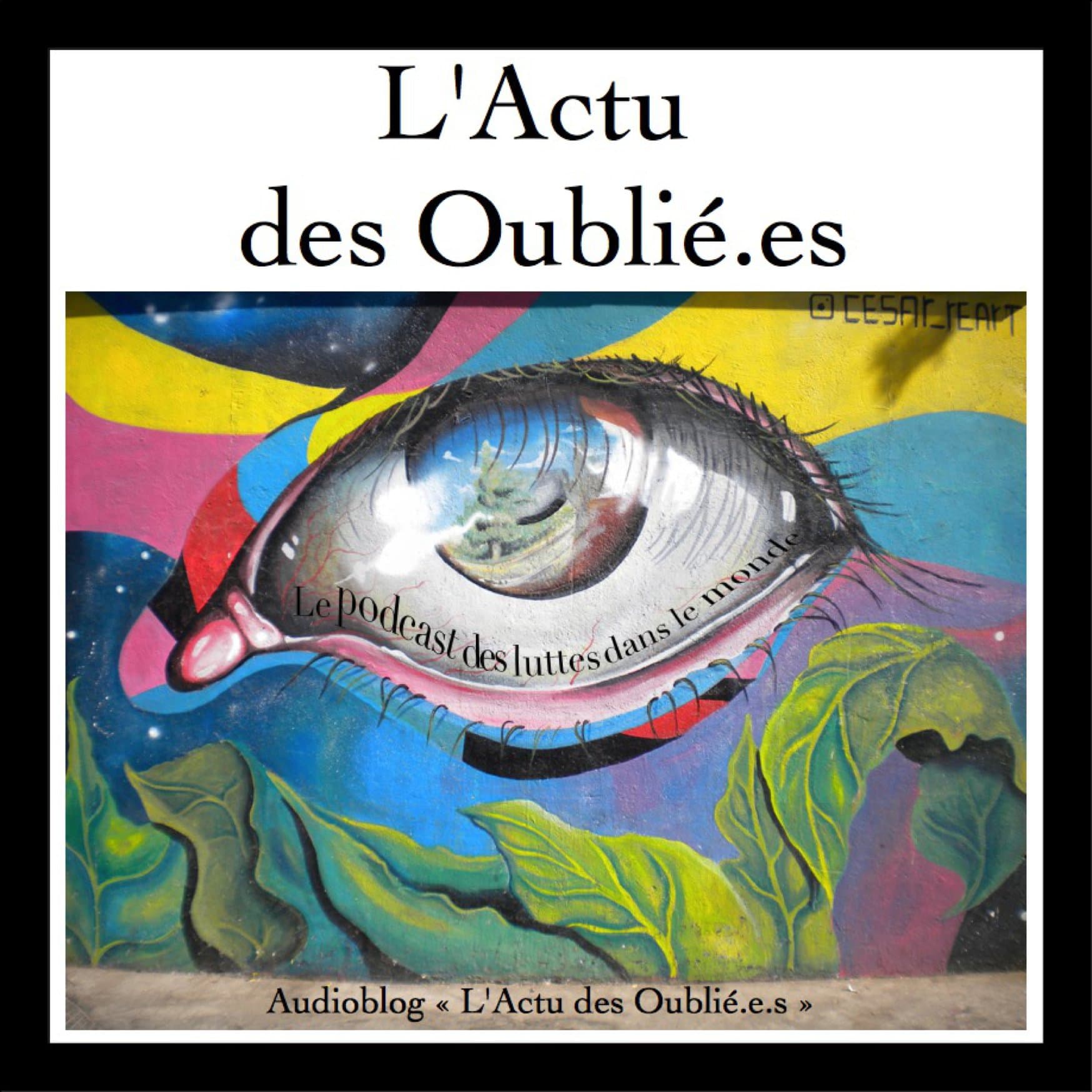 L'Actu des Oubliéǝs - Podcasts