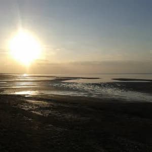 am-wasser-gebaut