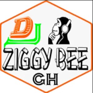 Dj Ziggy Bee pro
