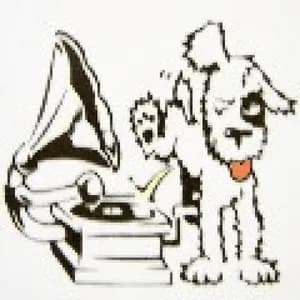 dogland-radio-bk - Germany Canlı Radyo Dinle