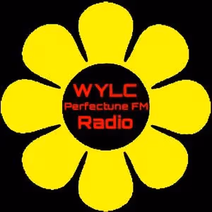 Perfectune FM - United States Live Radio