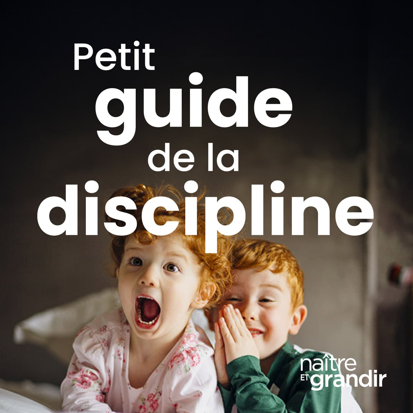 Petit guide de la discipline d'aujourd'hui - Podcasts