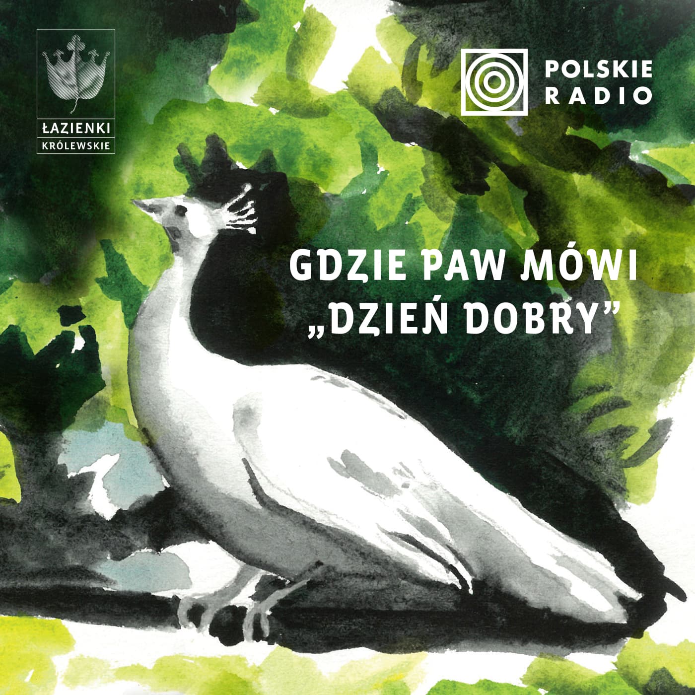 Gdzie paw mówi dzień dobry - Podcasty