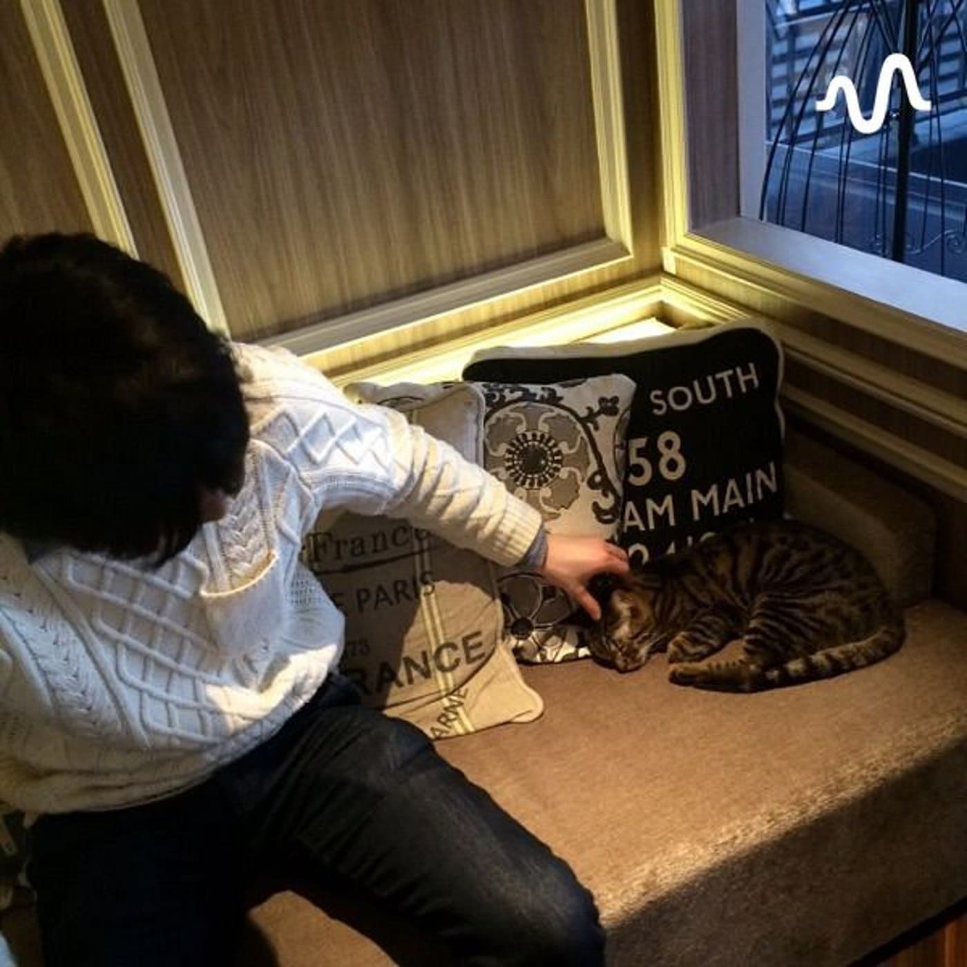 耳で学ぶお金の知識 - Podcast